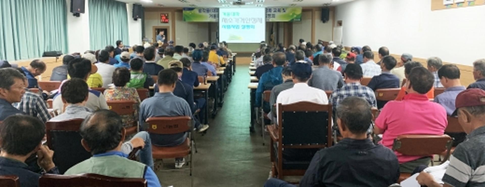 전남농협, 겨울 대파 '채소가격안정제'로 소득 보장