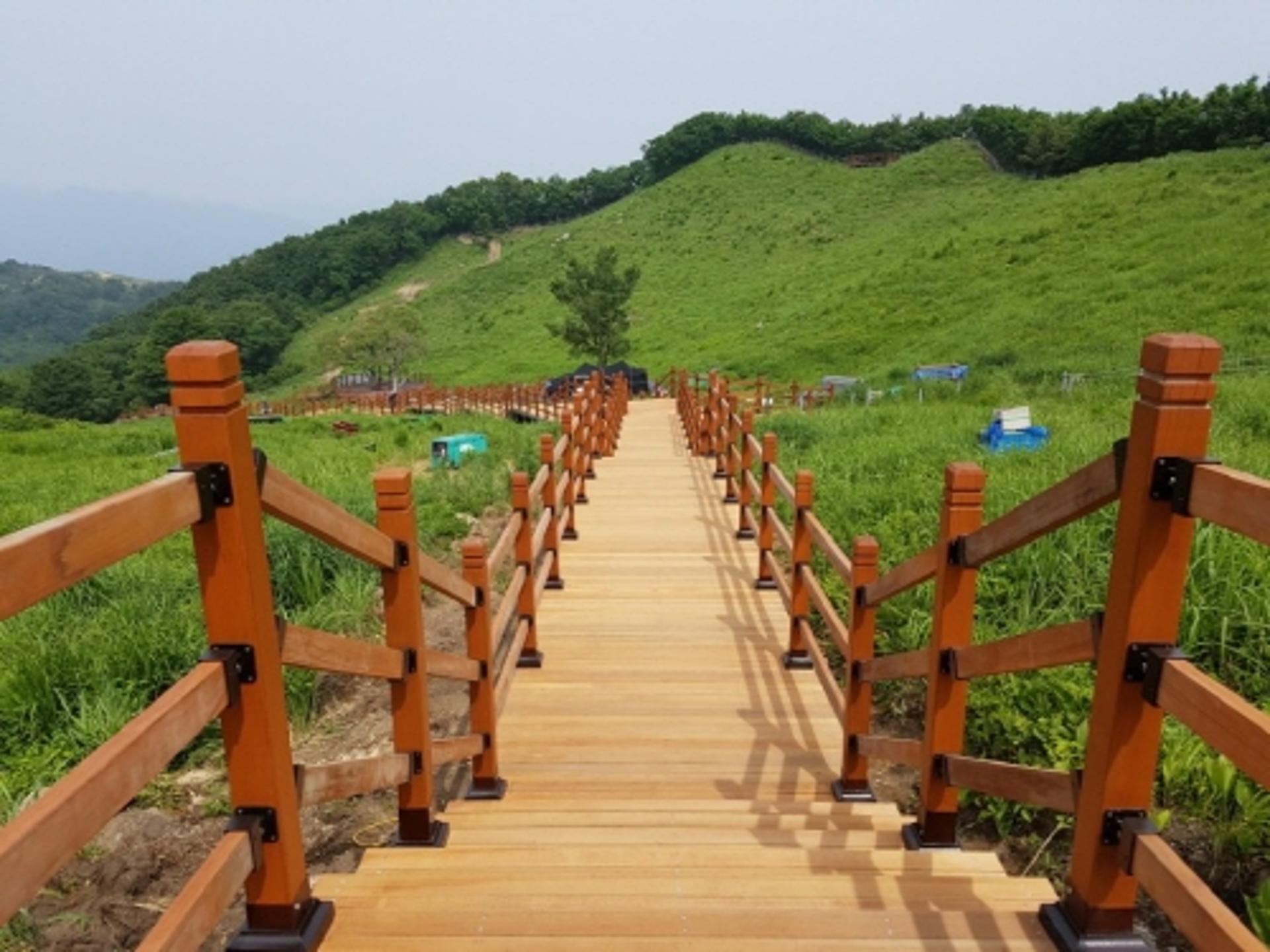 포천시, 명성산 억새군락지 정비사업 완료