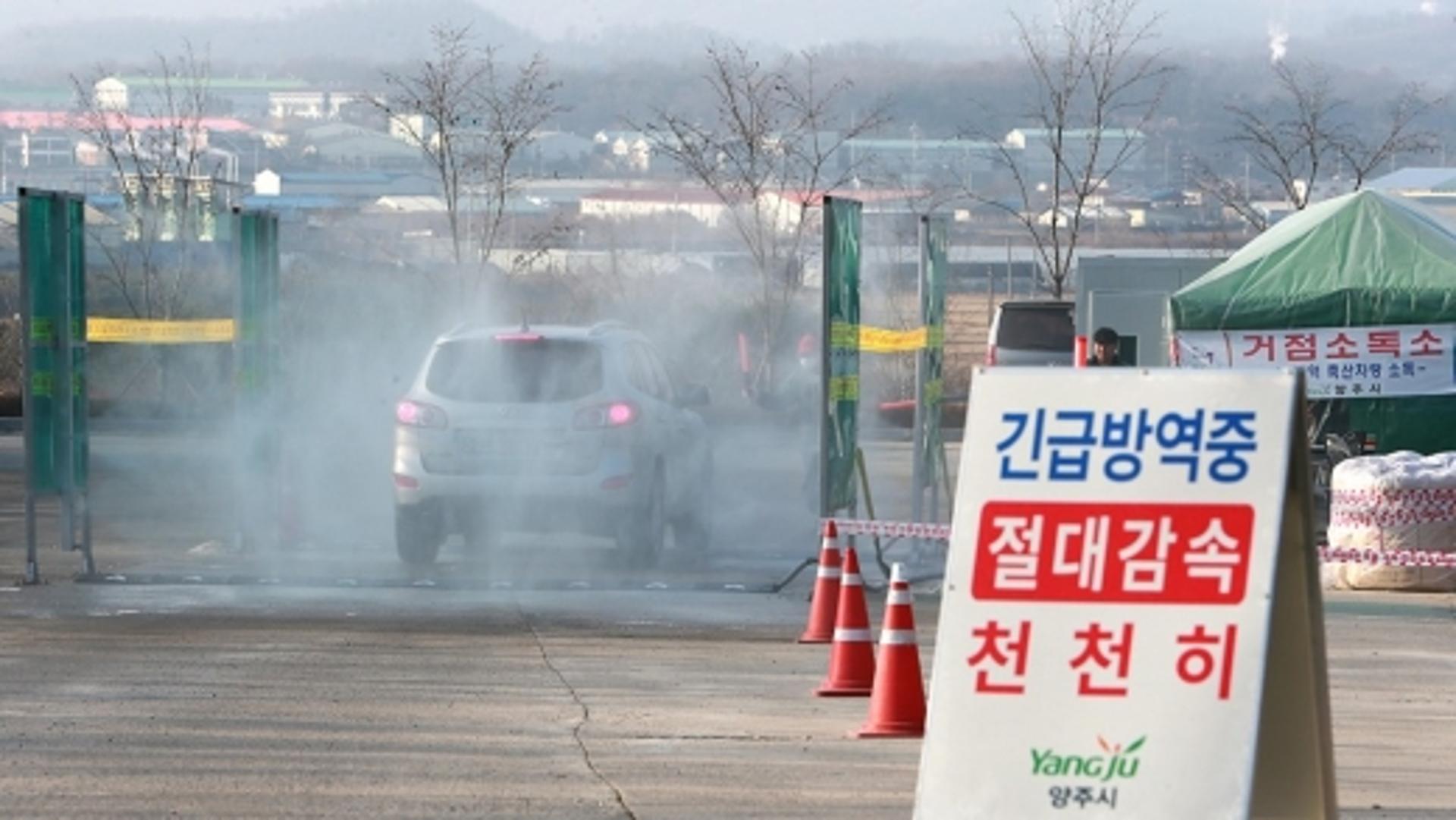 경기도, 10월부터 ASF 이어 AI‧구제역도 '특별방역기간' 운영