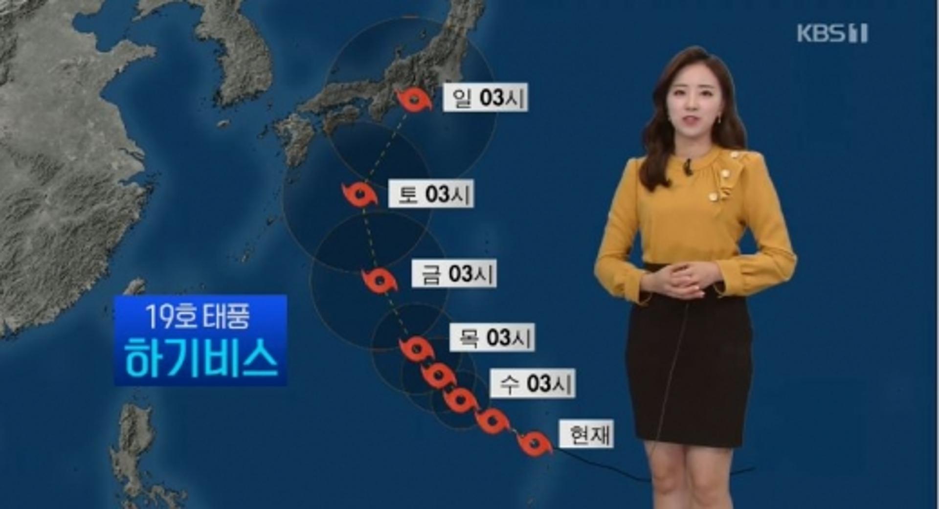 19호 태풍 하기비스, 일본 강타한다…"한반도 영향↓"