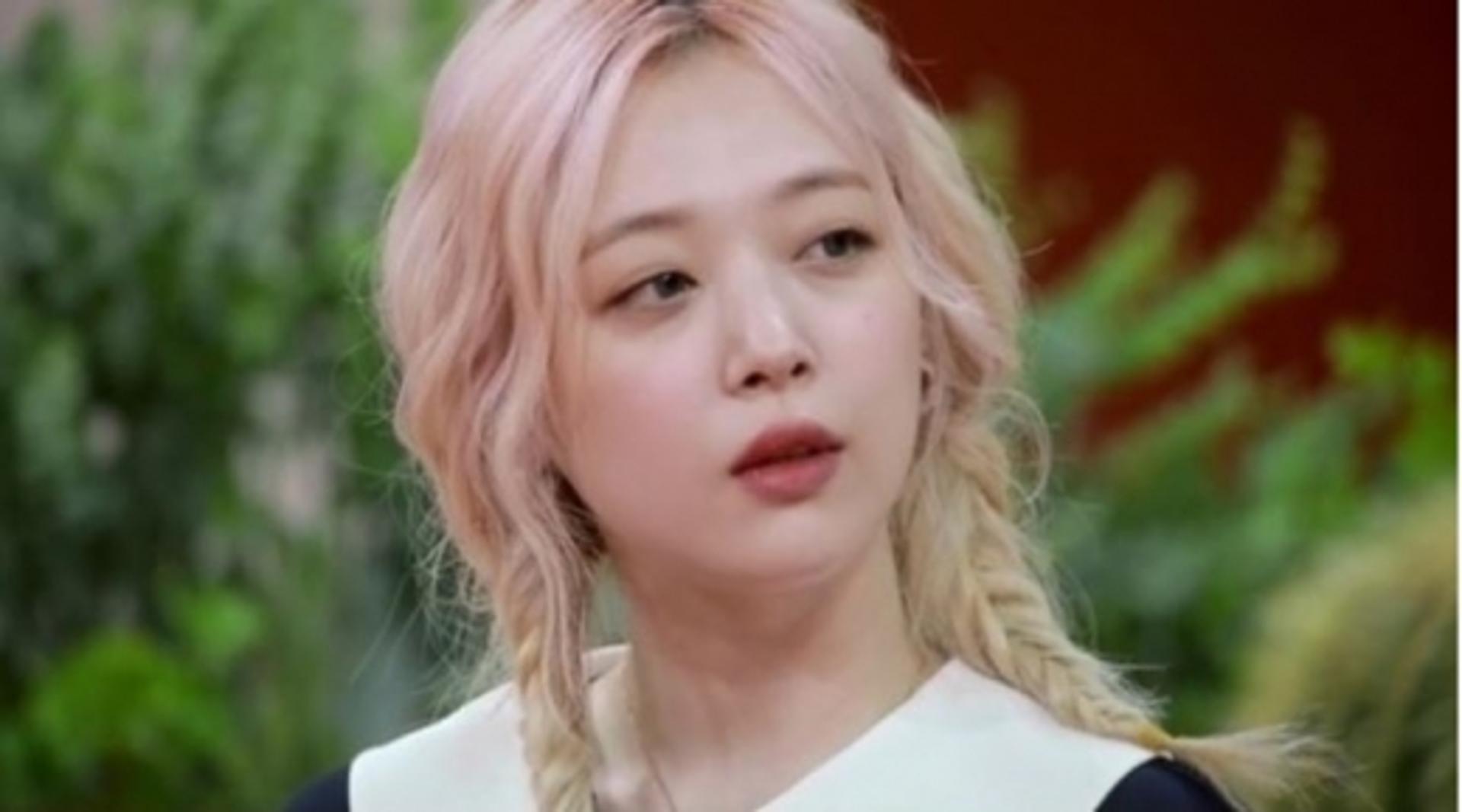 설리 사망, '악플의 밤' 폐지 요청까지…?
