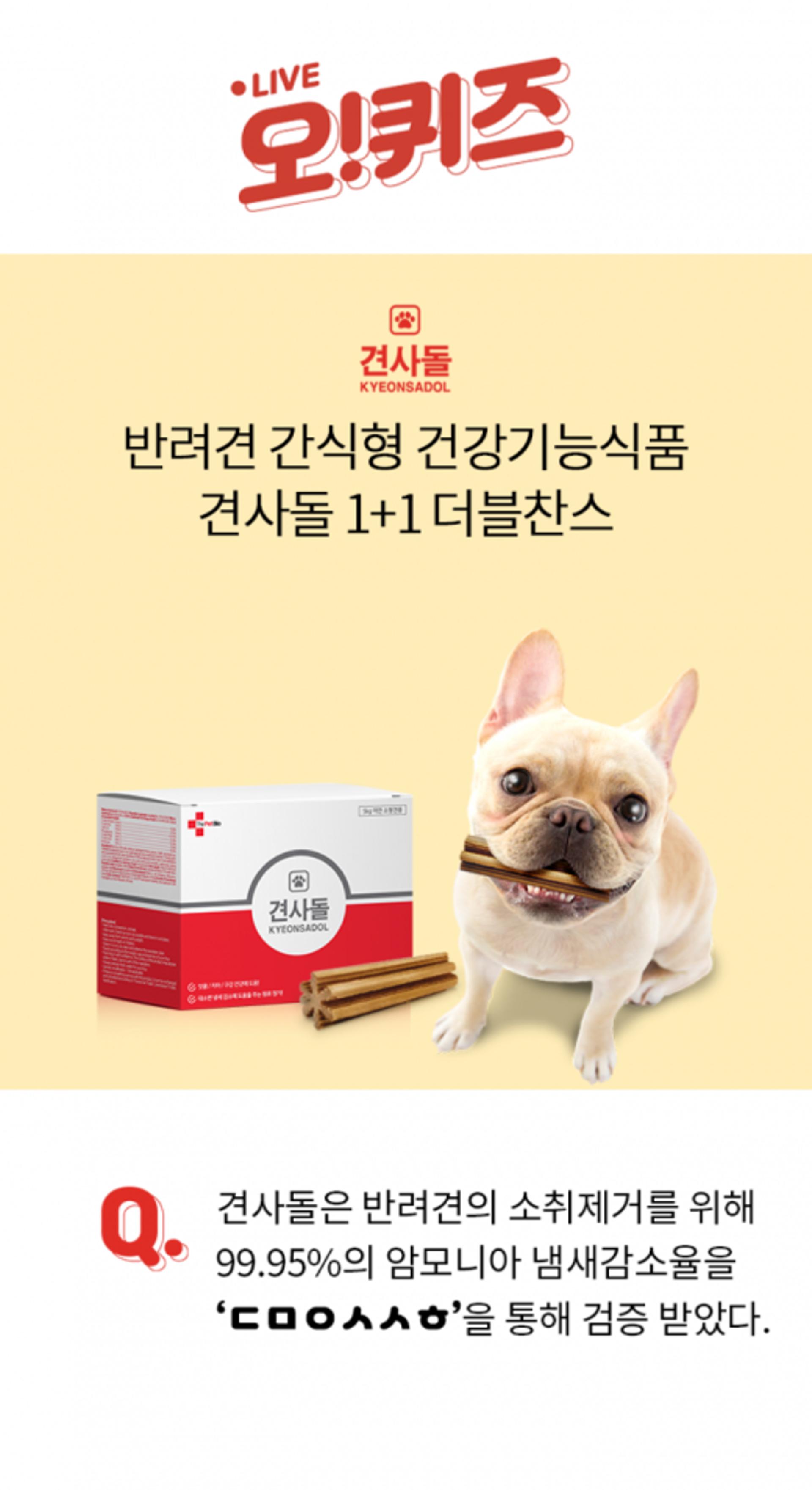 견사돌, 오퀴즈 11시 초성퀴즈  'ㄷㅁㅇㅅㅅㅎ' 정답은?