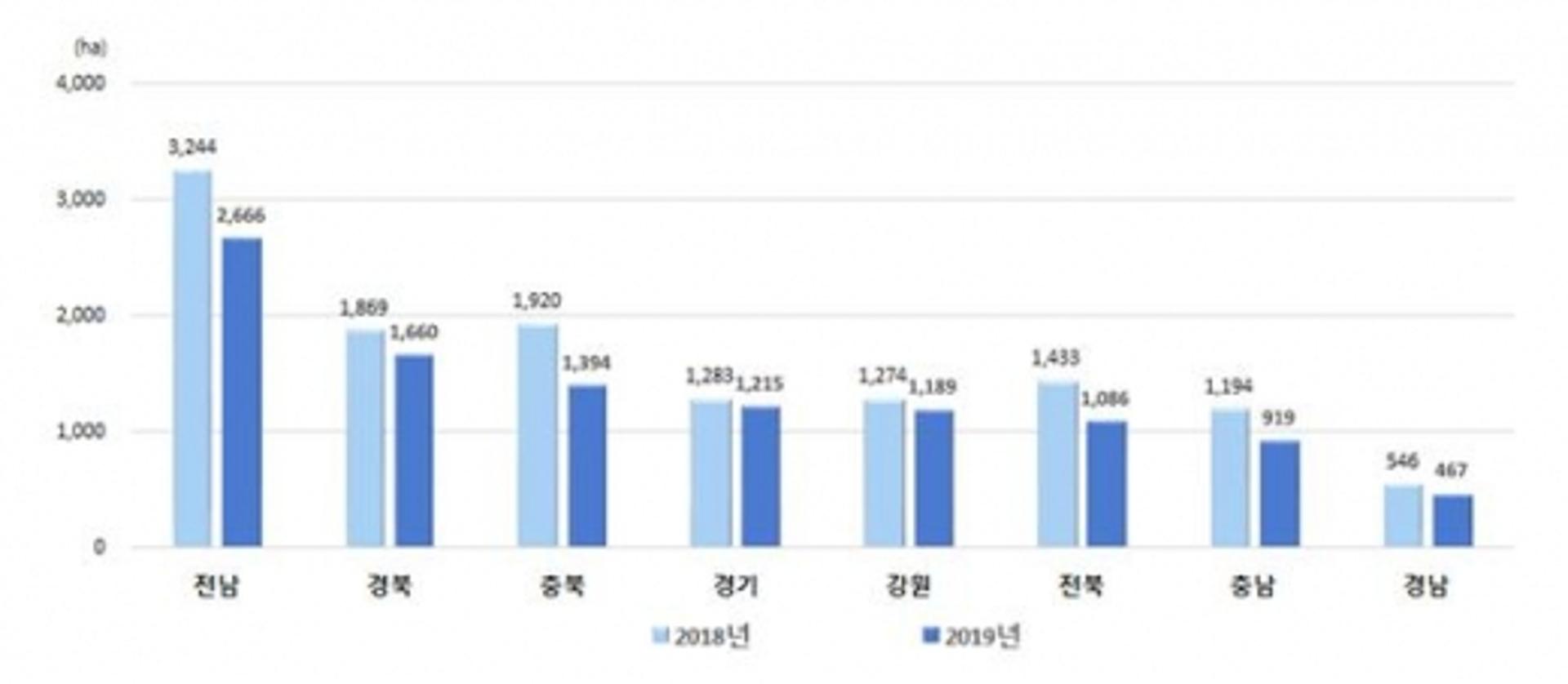 '가격 급락'에 전남, 올해 가을배추·무 재배면적 감소