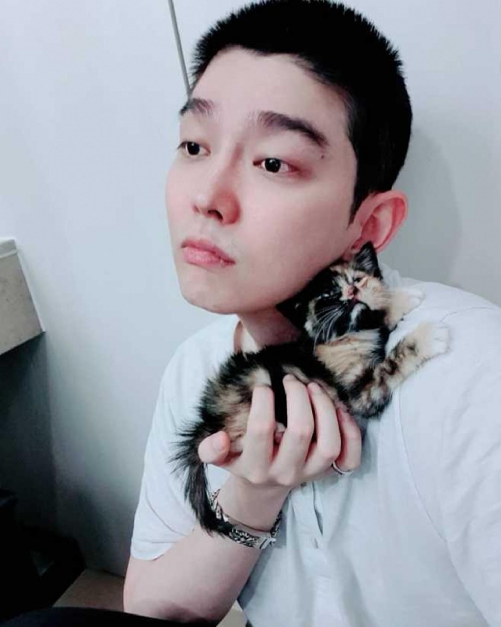 '냥집사' 윤균상 반려묘 입양 "건강하게 잘 키울 것"