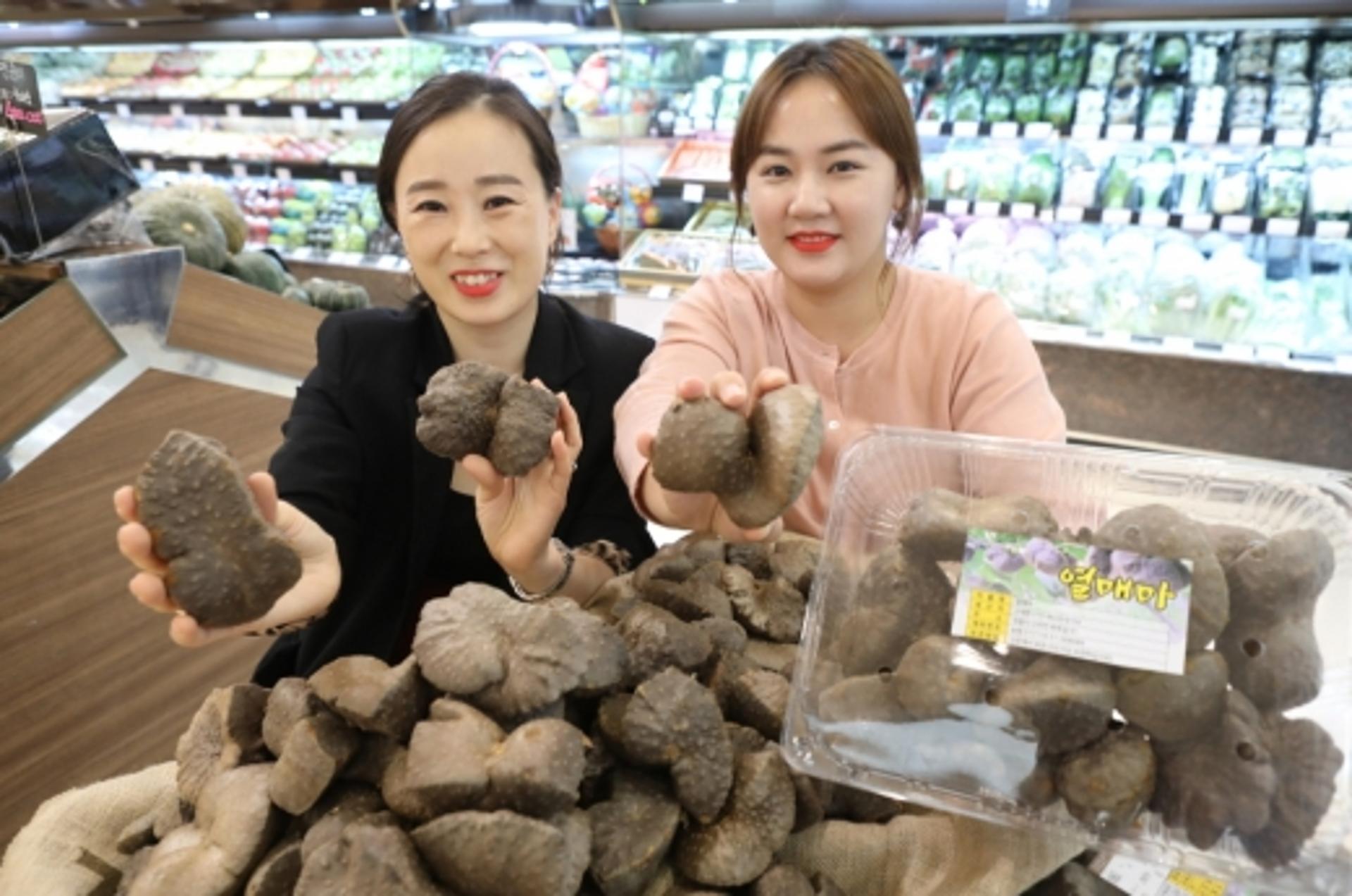 롯데백광주점, 넝쿨에서 열리는 '열매마' 인기