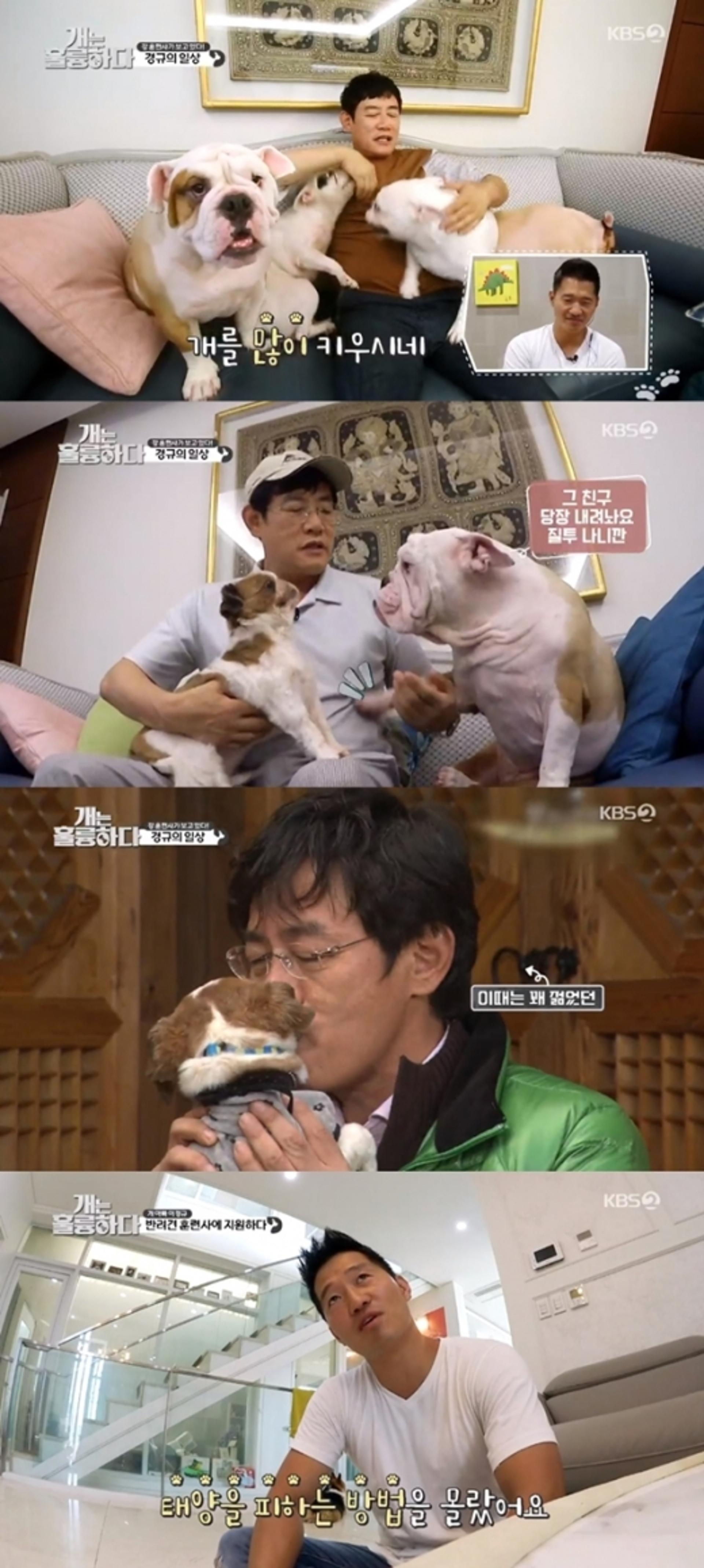 이경규 반려견 훈련사 도전, 성공할 수 있을까