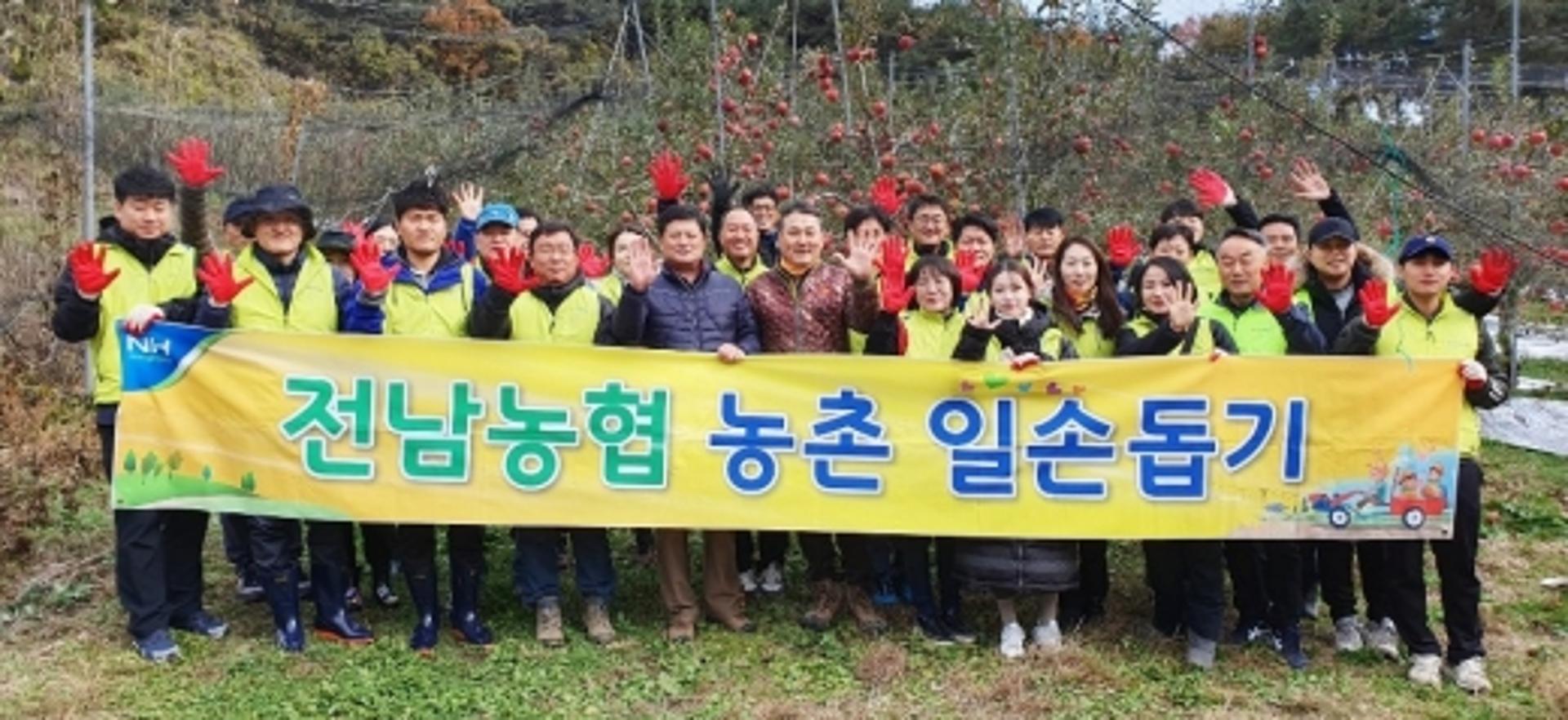 전남농협, 장성 사과 재배 농가 일손돕기 구슬땀