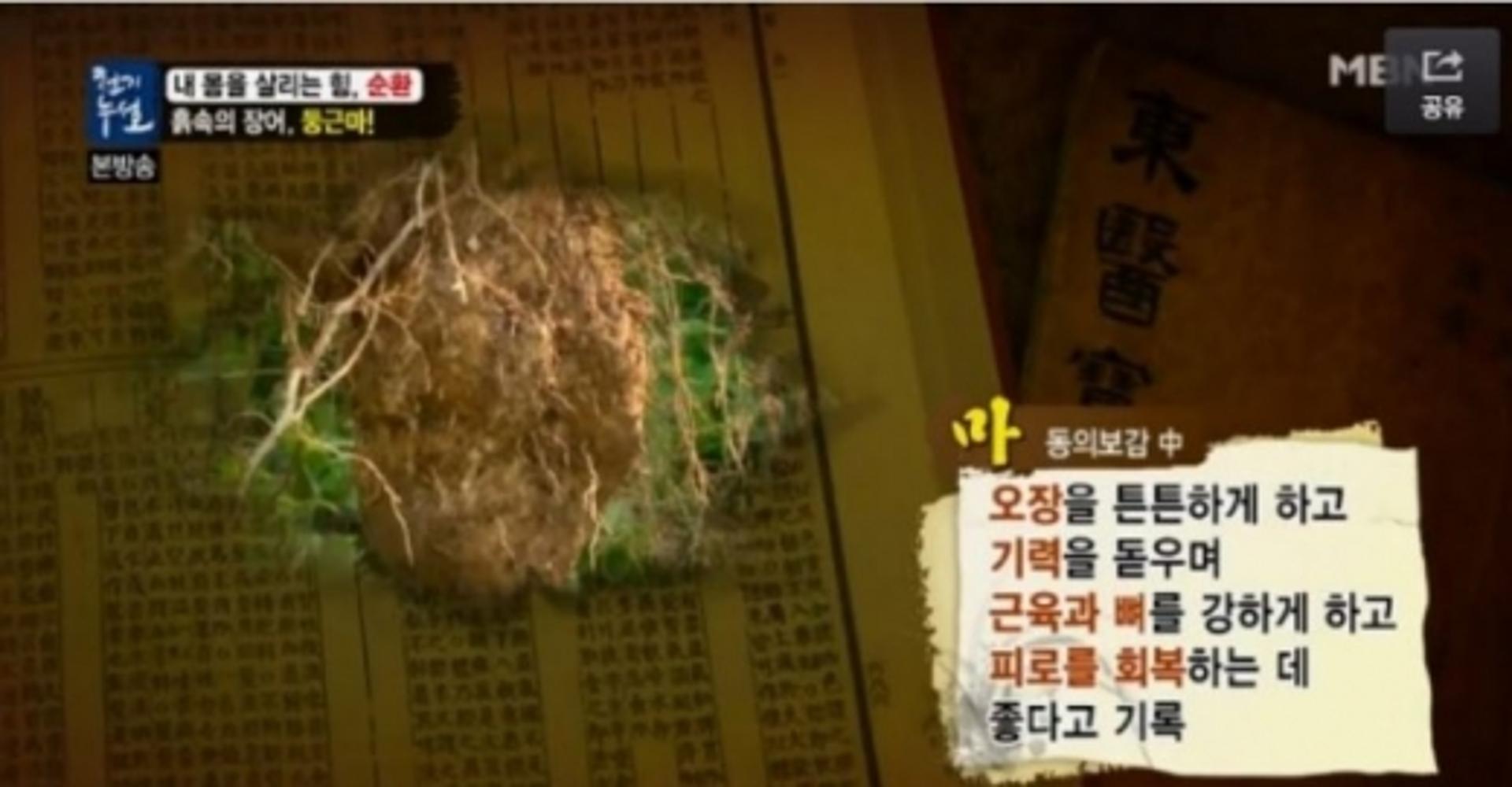 '둥근마' 효능 '주목'…OO에 그렇게 좋다며?