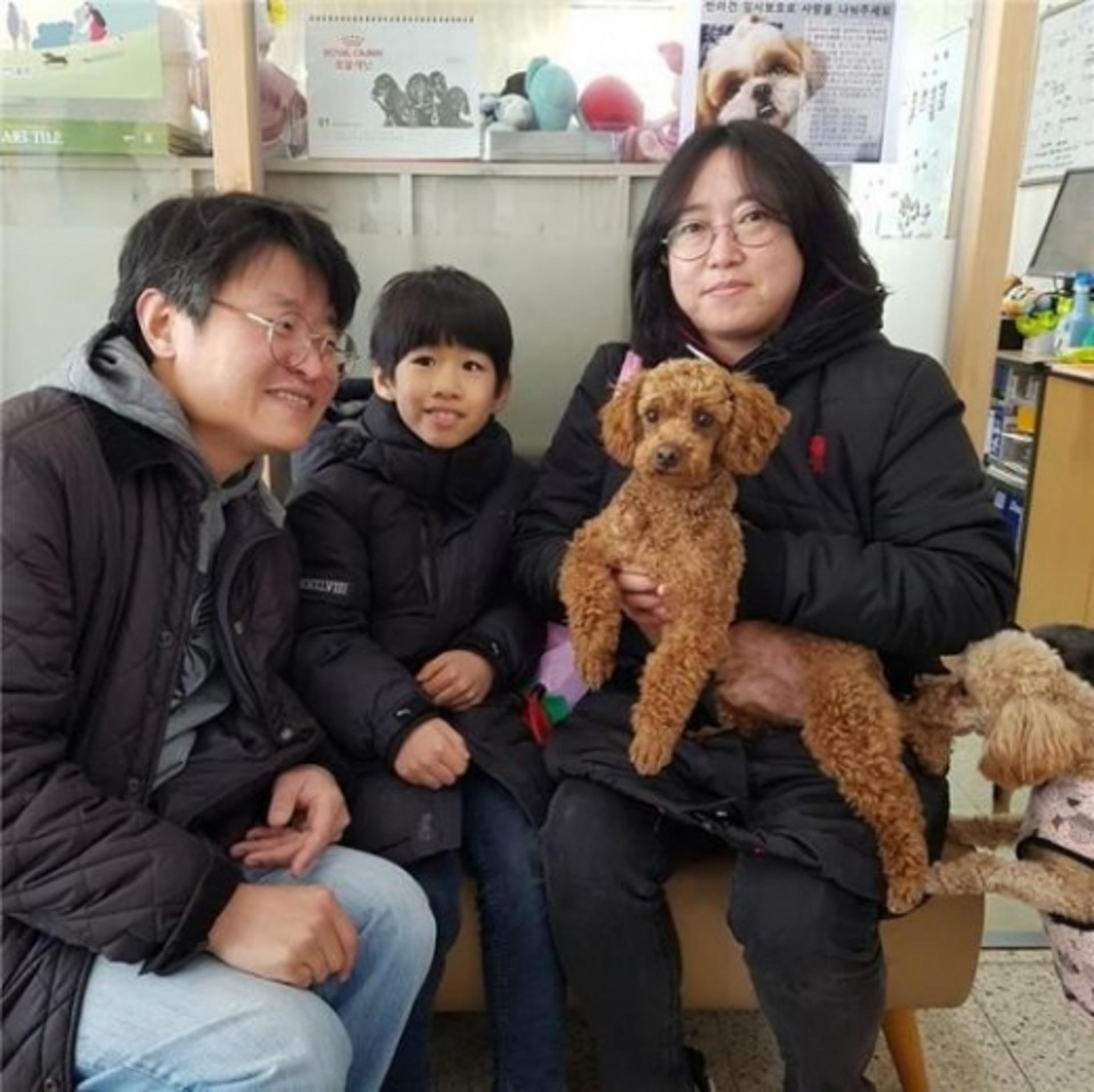 경기도 도우미견나눔센터, 유기견 327마리 분양
