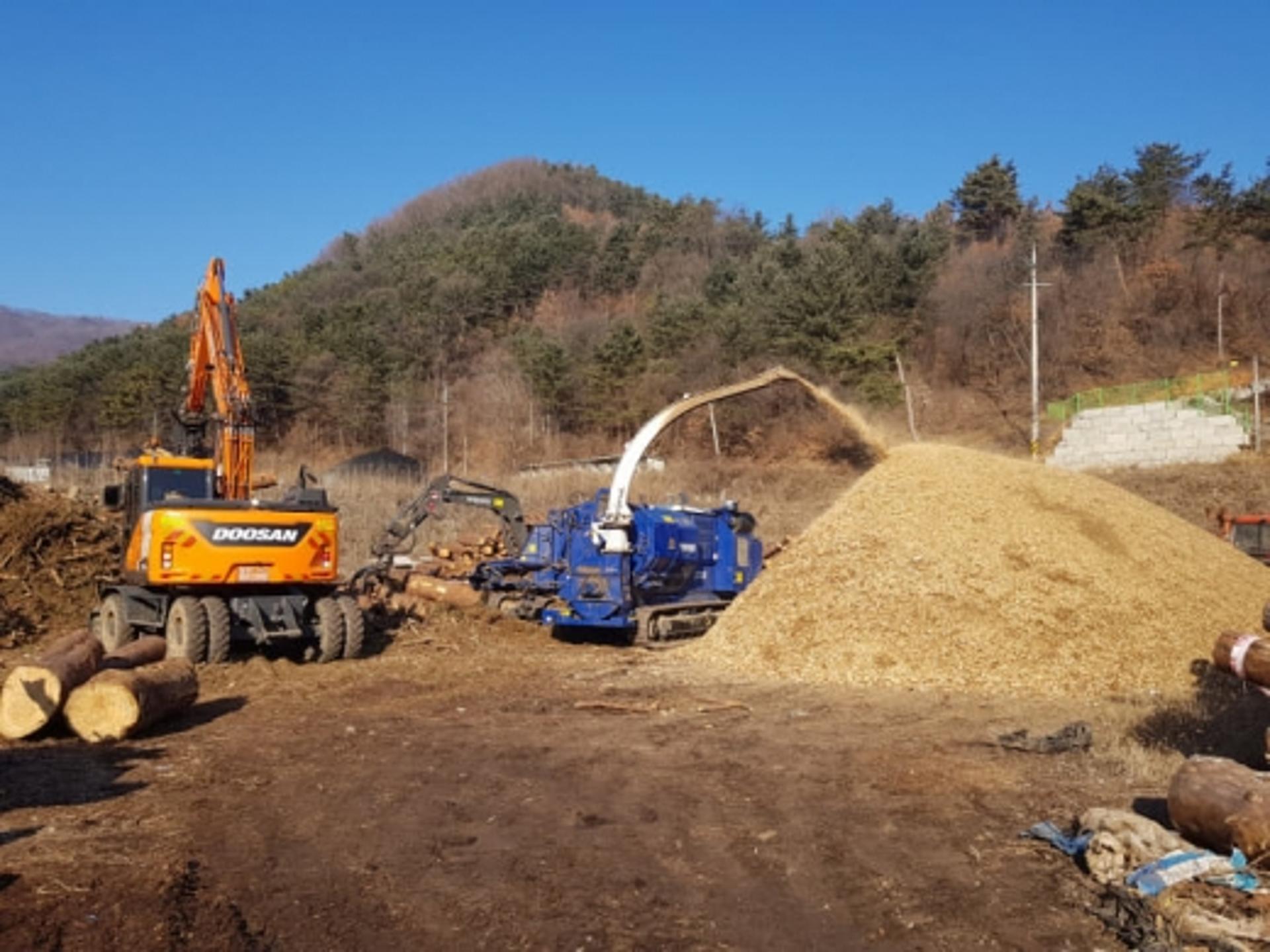 가평군, 소나무재선충병 피해목 친환경 연료 활용 등 산업적 활성화 추진