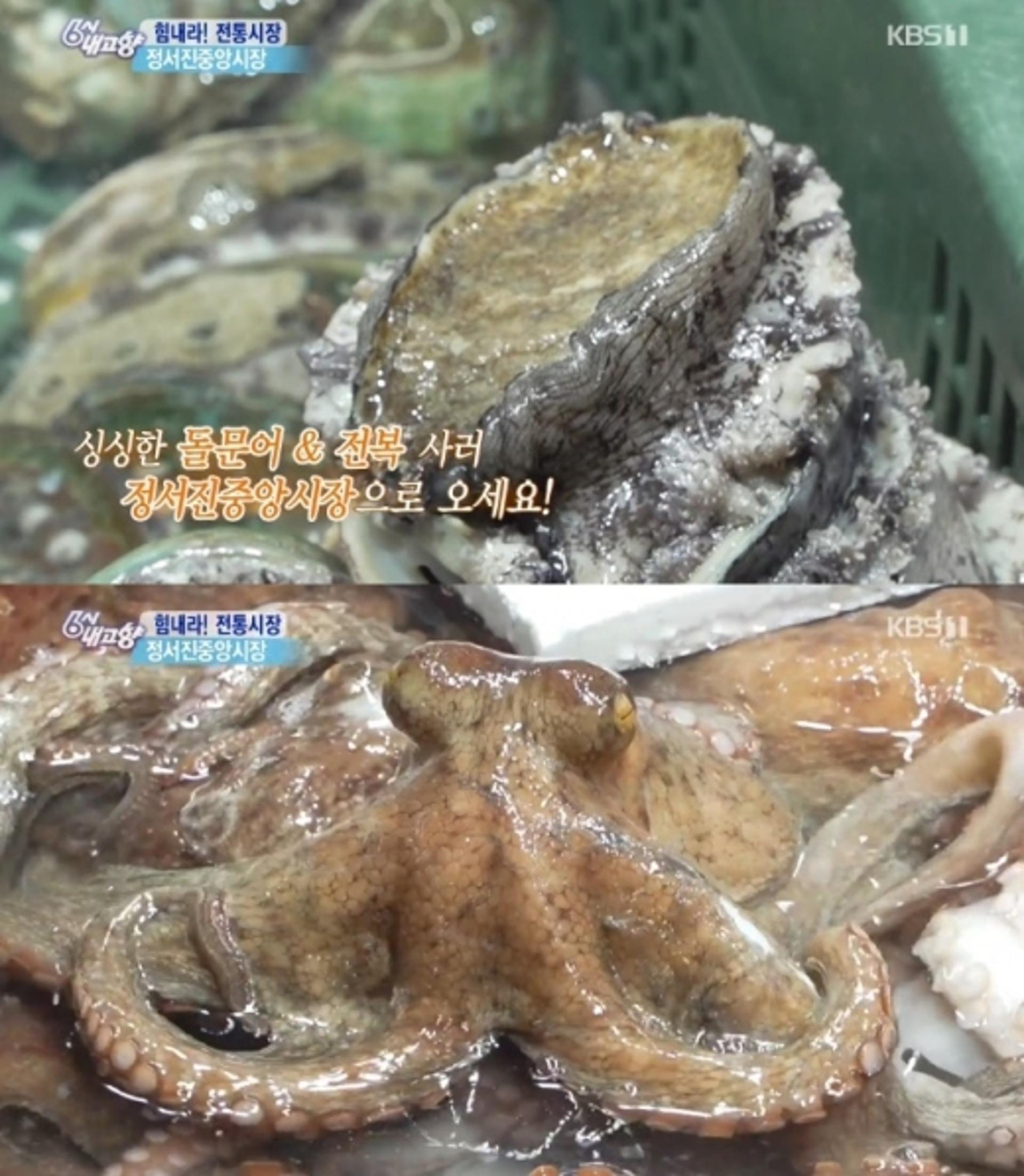 정서진 중앙시장, 돌문어가 1만원이라고?