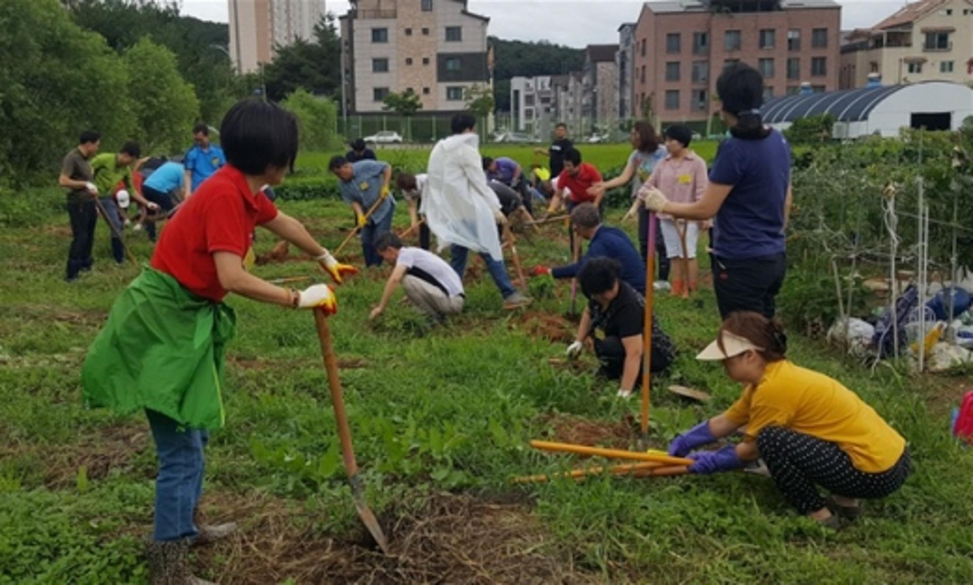 경기도, 화성동탄 등에 '도민텃밭' 추가 조성… 4만6563㎡ 1만명에게 제공
