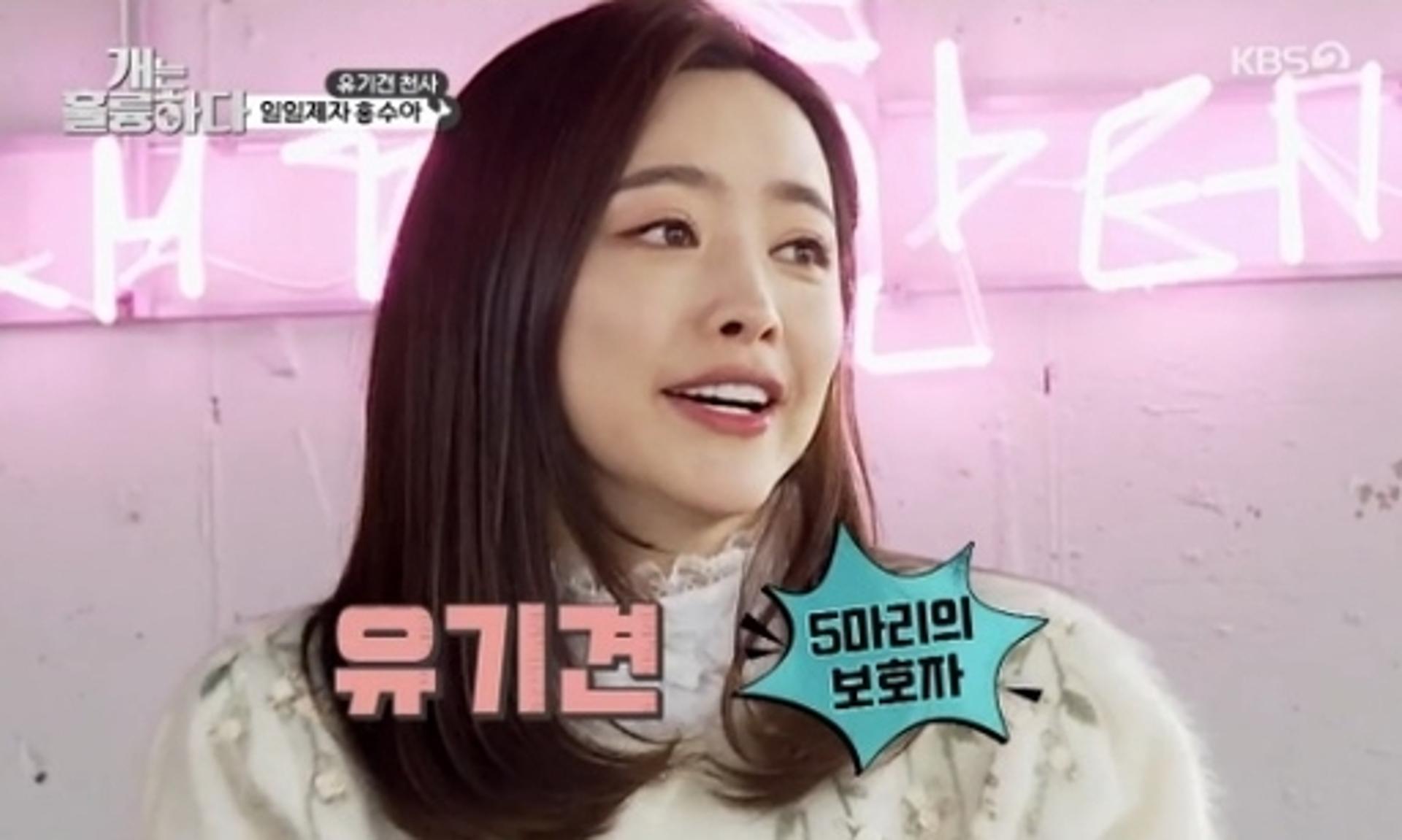 홍수아 유기견 5마리 입양… "개엄마였어?"