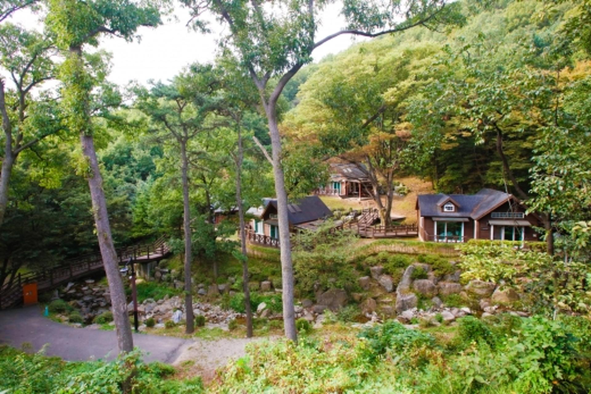 용인시, 용인자연휴양림 시설 이용료 감면 대상 확대