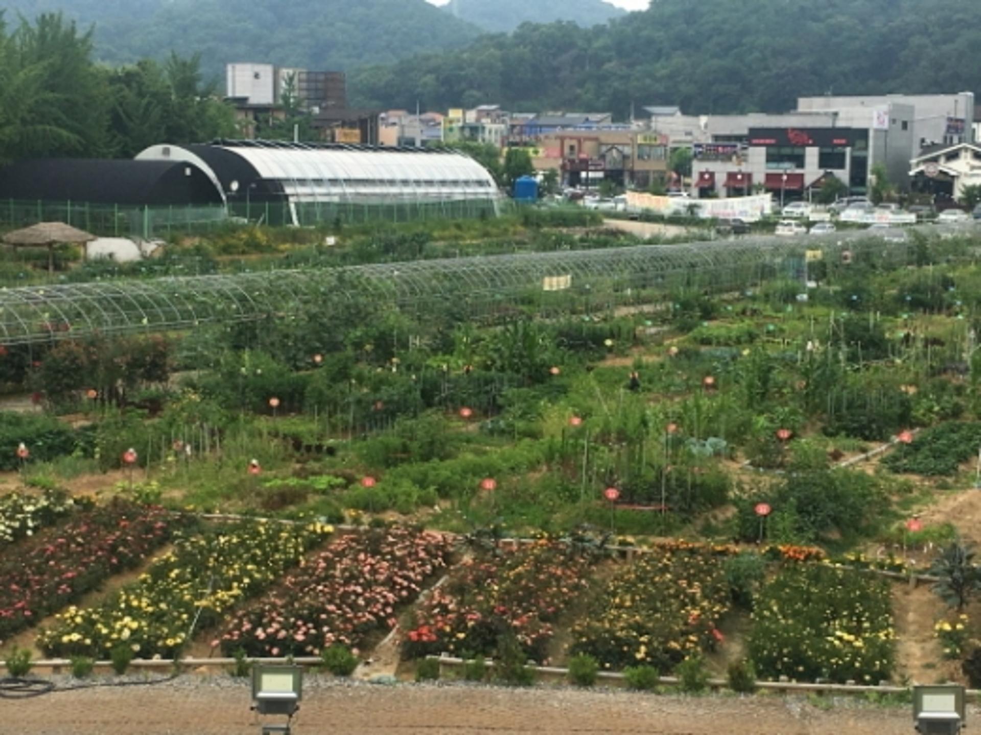 광명시, 옥길농장 200개·밤일농장 352개 텃밭 참여자 모집