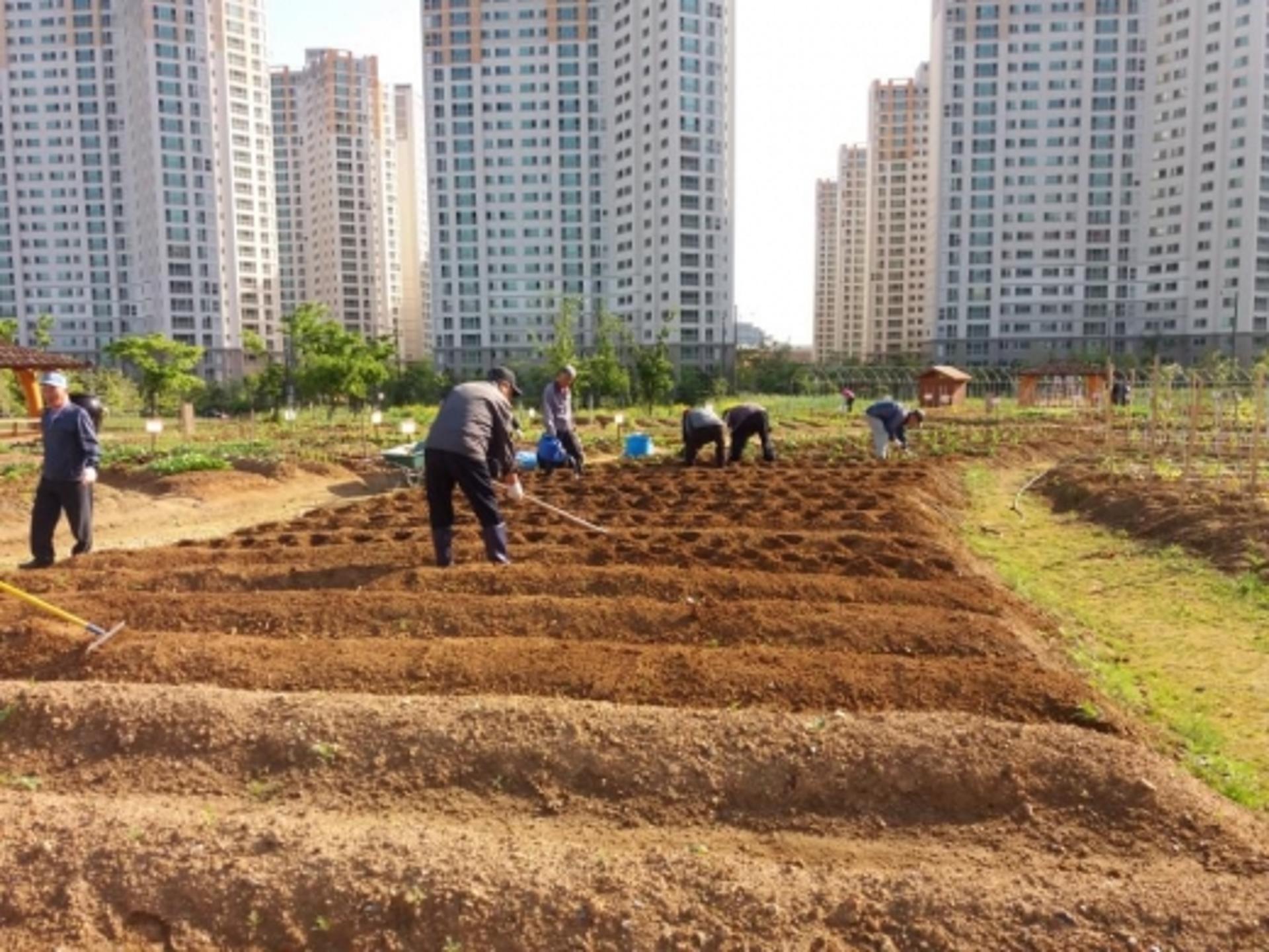 시흥시, 도시농업공원 시민공동체텃밭 참여자 모집