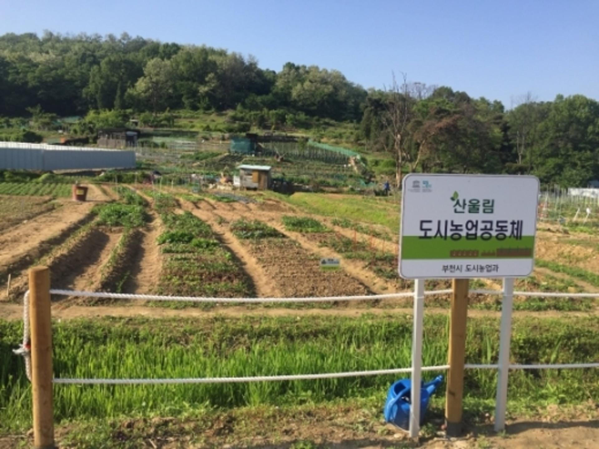 부천시, 문화동산·소사나눔·산울림농장 700구획 시민농장 분양