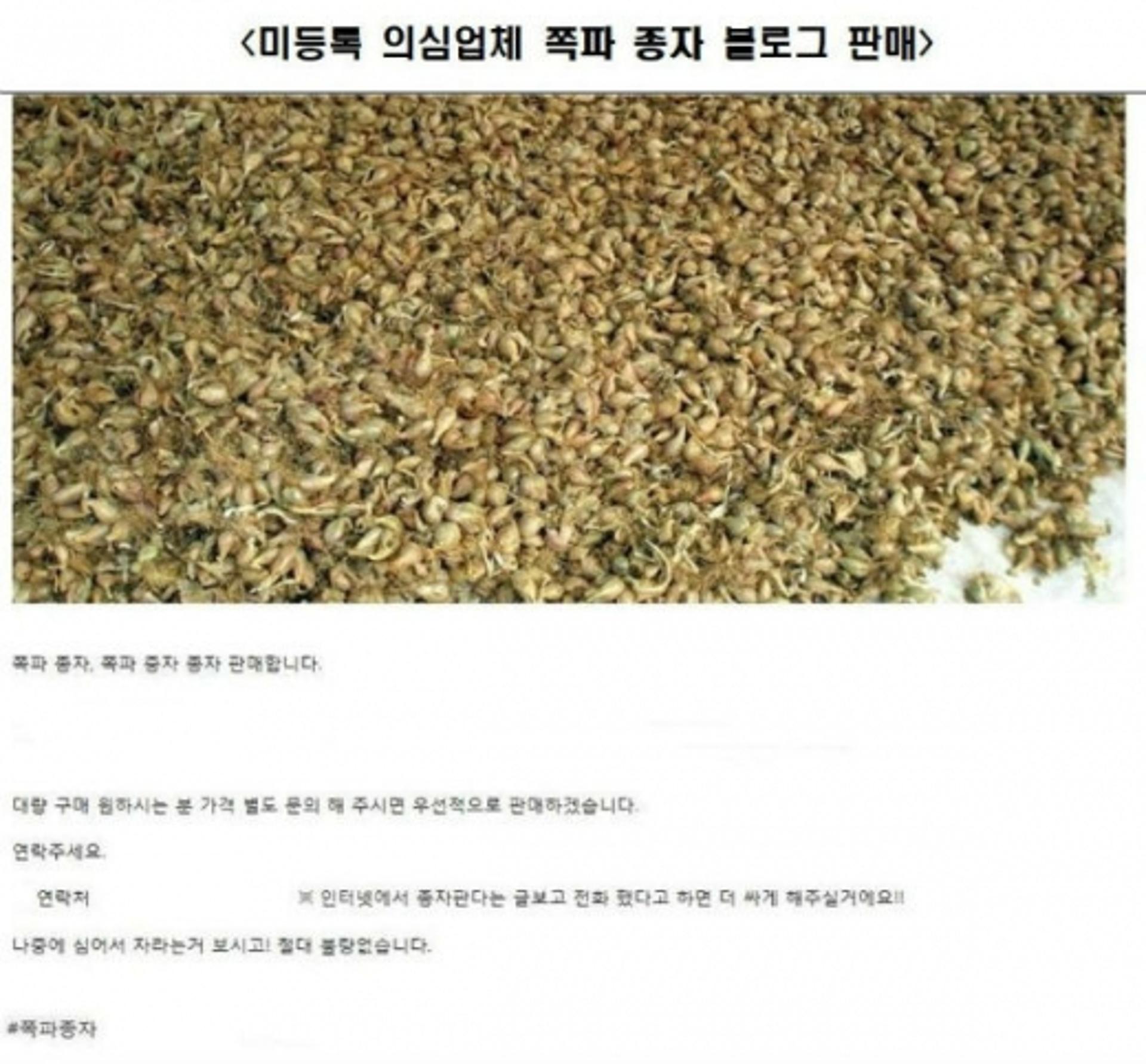 경기도 특사경 "불법·불량 종자 유통행위 집중수사"