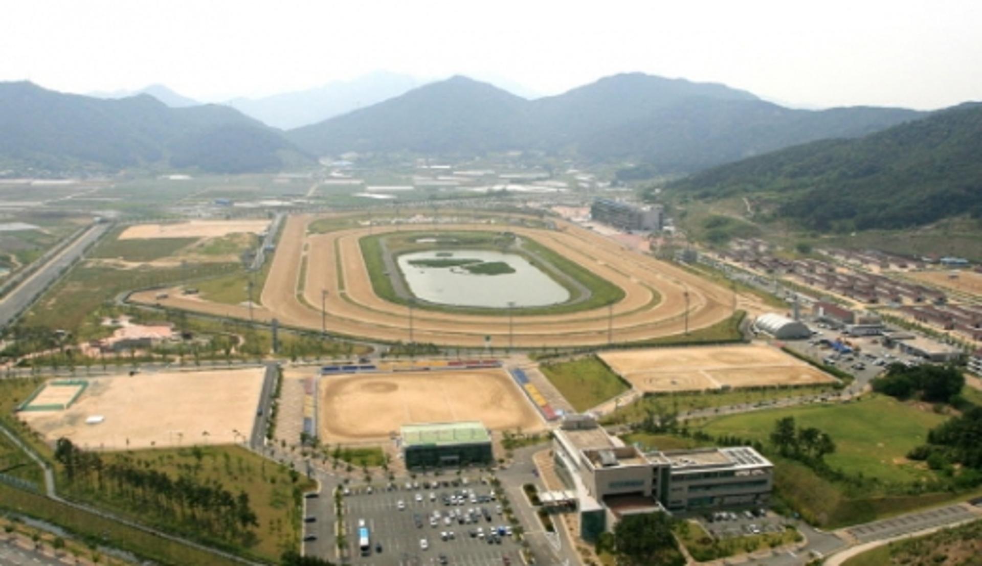 한국마사회 부산경남, 경마 임시휴장 26일까지 연장