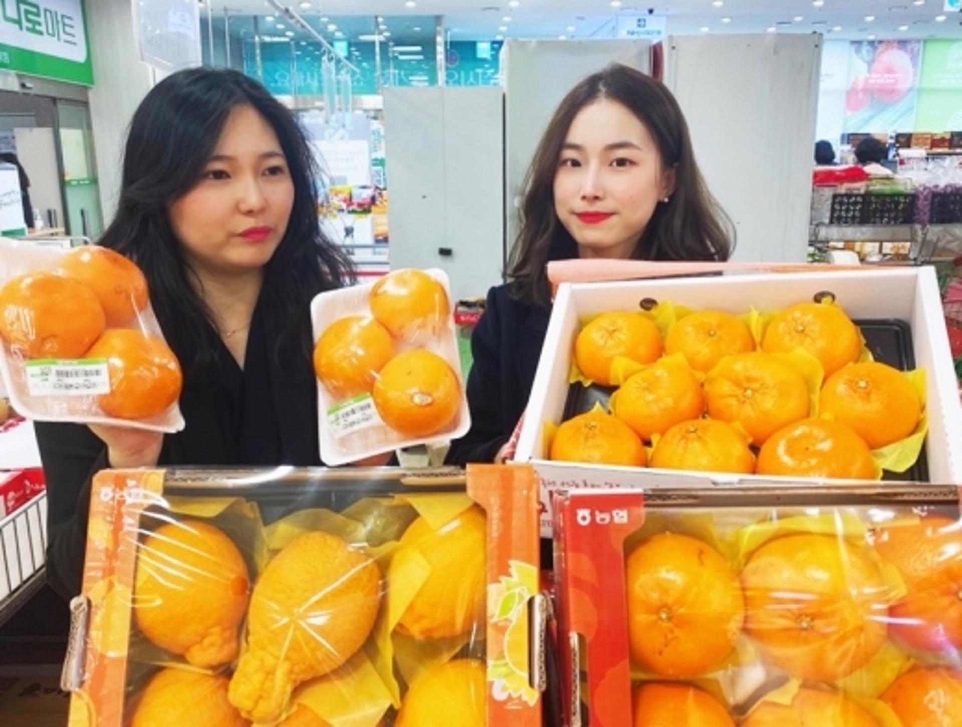 전남농협, 초중고 개학 연기에 판로 막힌 학교급식농가 지원