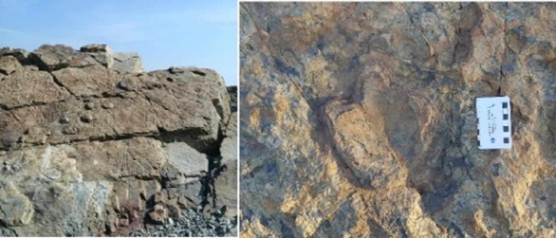 기장군 신평소공원 해안가 공룡발자국 화석 발견