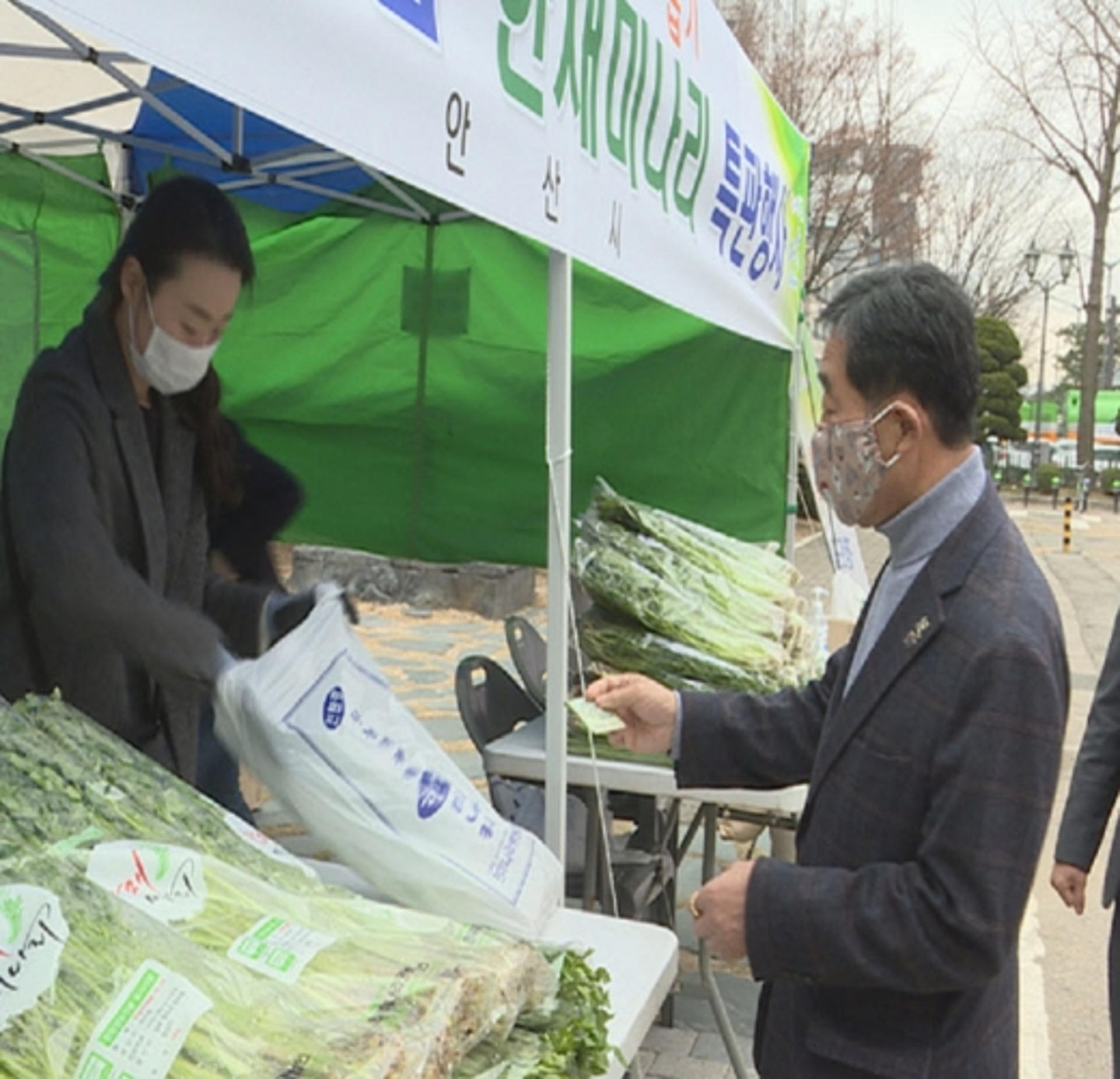 안산시, 청도군 한재미나리 팔아주기 나서