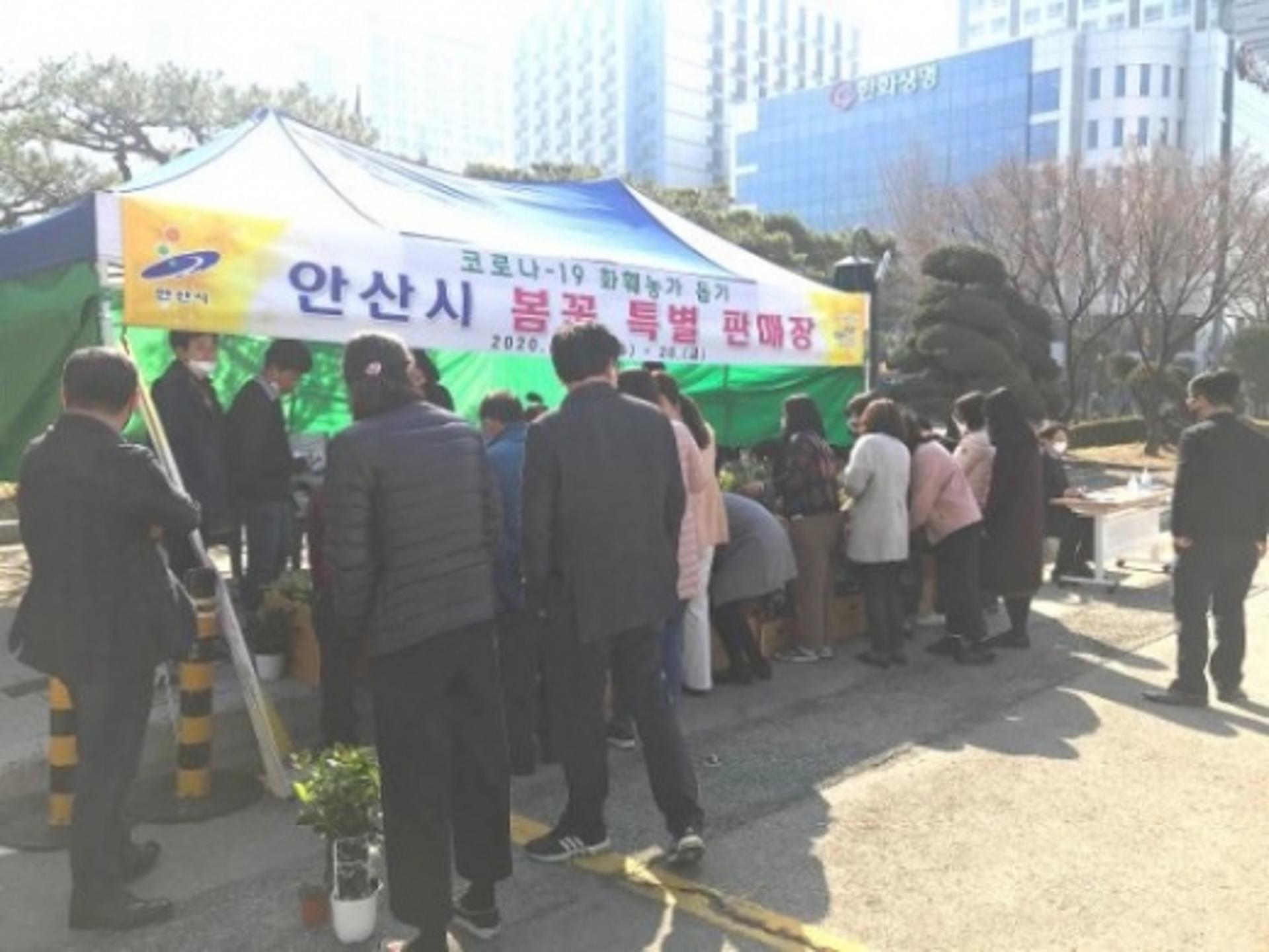 안산시, 코로나19 피해 화훼농가 돕기… 봄꽃 특별 판매장 운영