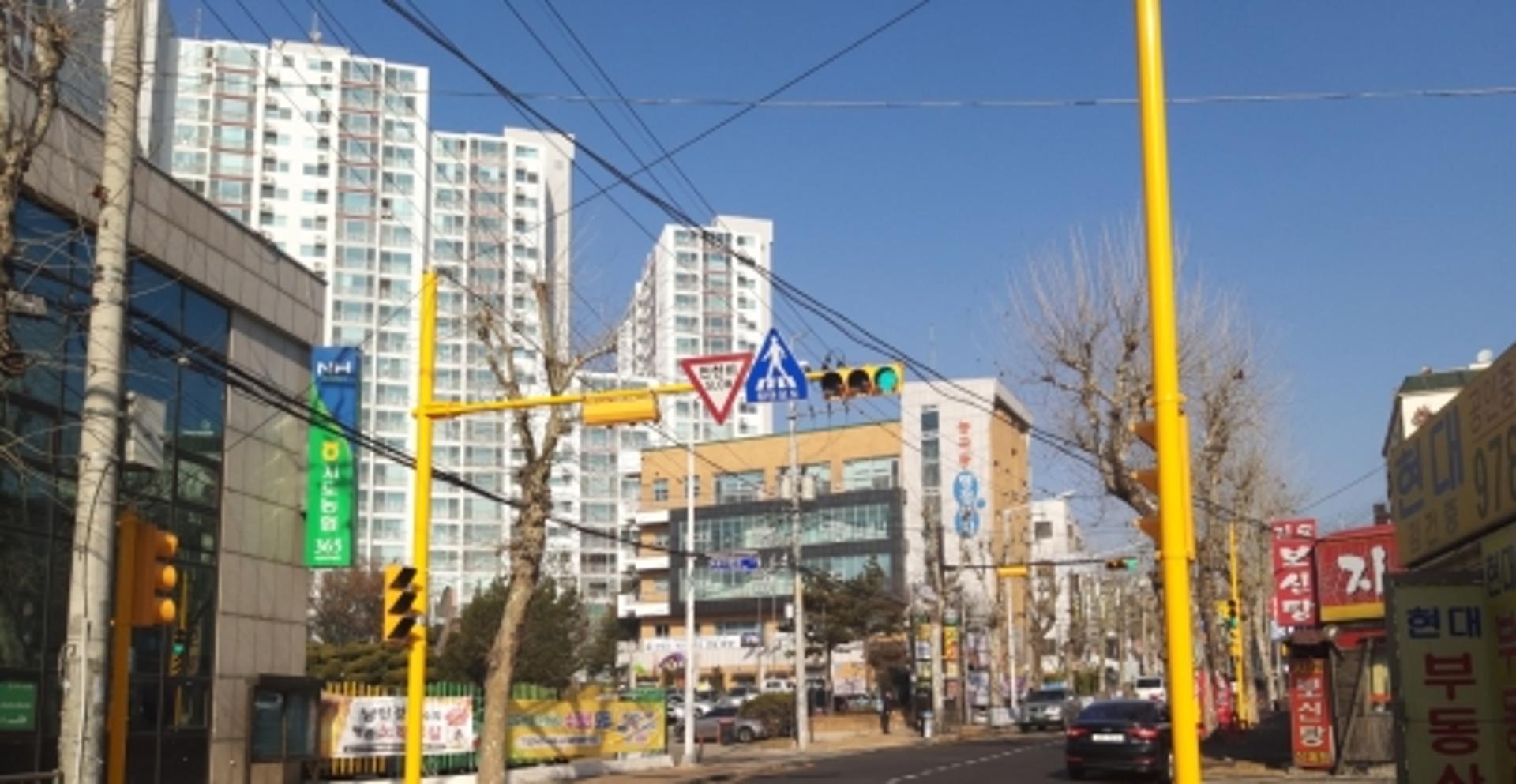 고양시, 어린이보호구역 신호등 '노란색'으로 교체