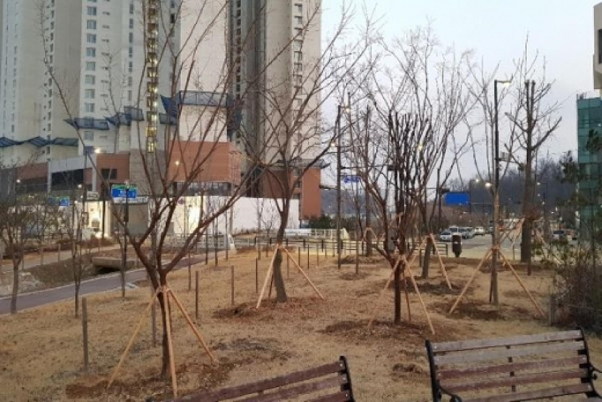 고양시, '코로나19 극복 염원' 희망나무 심기 추진