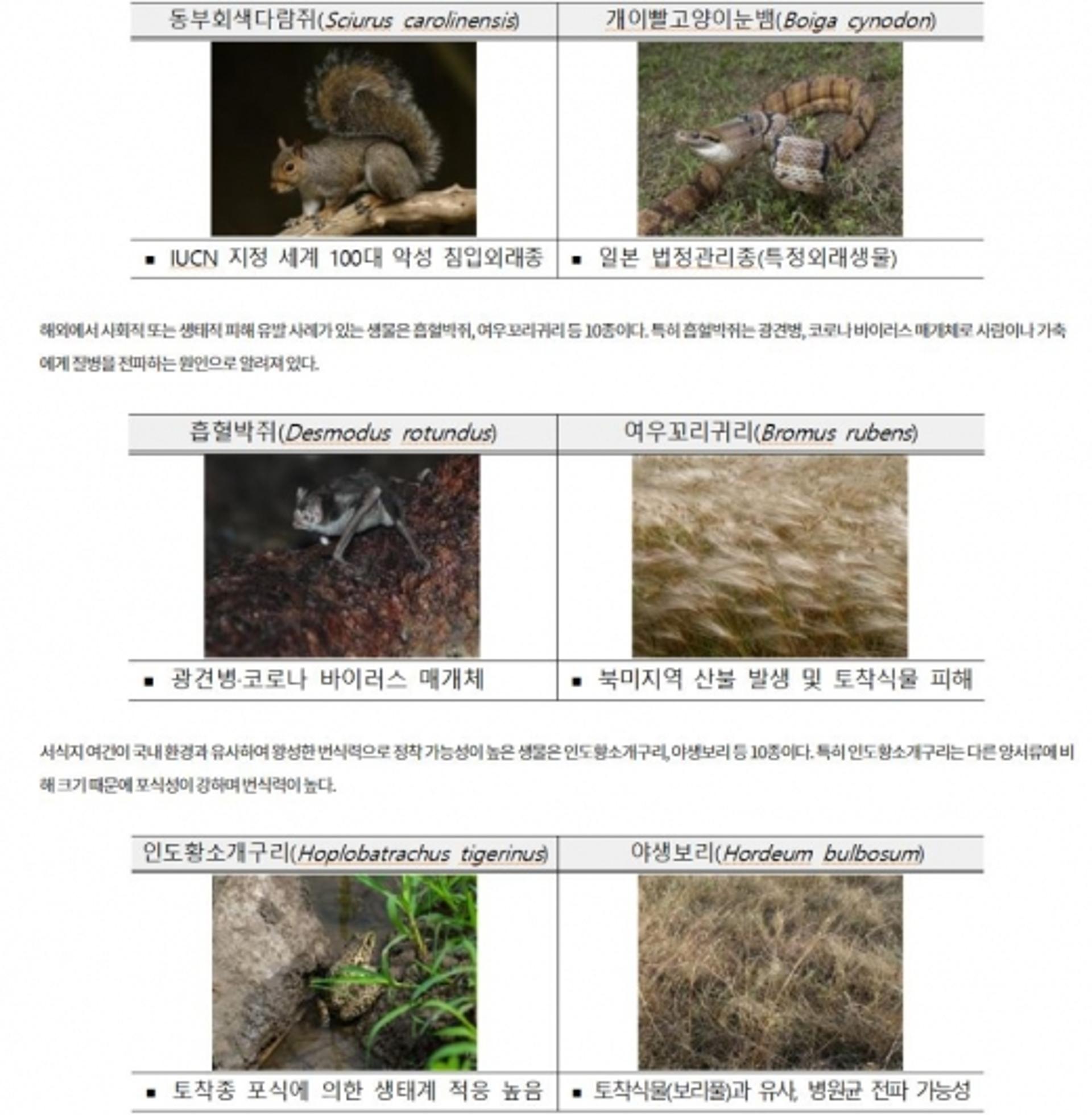코로나 옮기는 흡혈박쥐, 불법 반입시 '처벌'