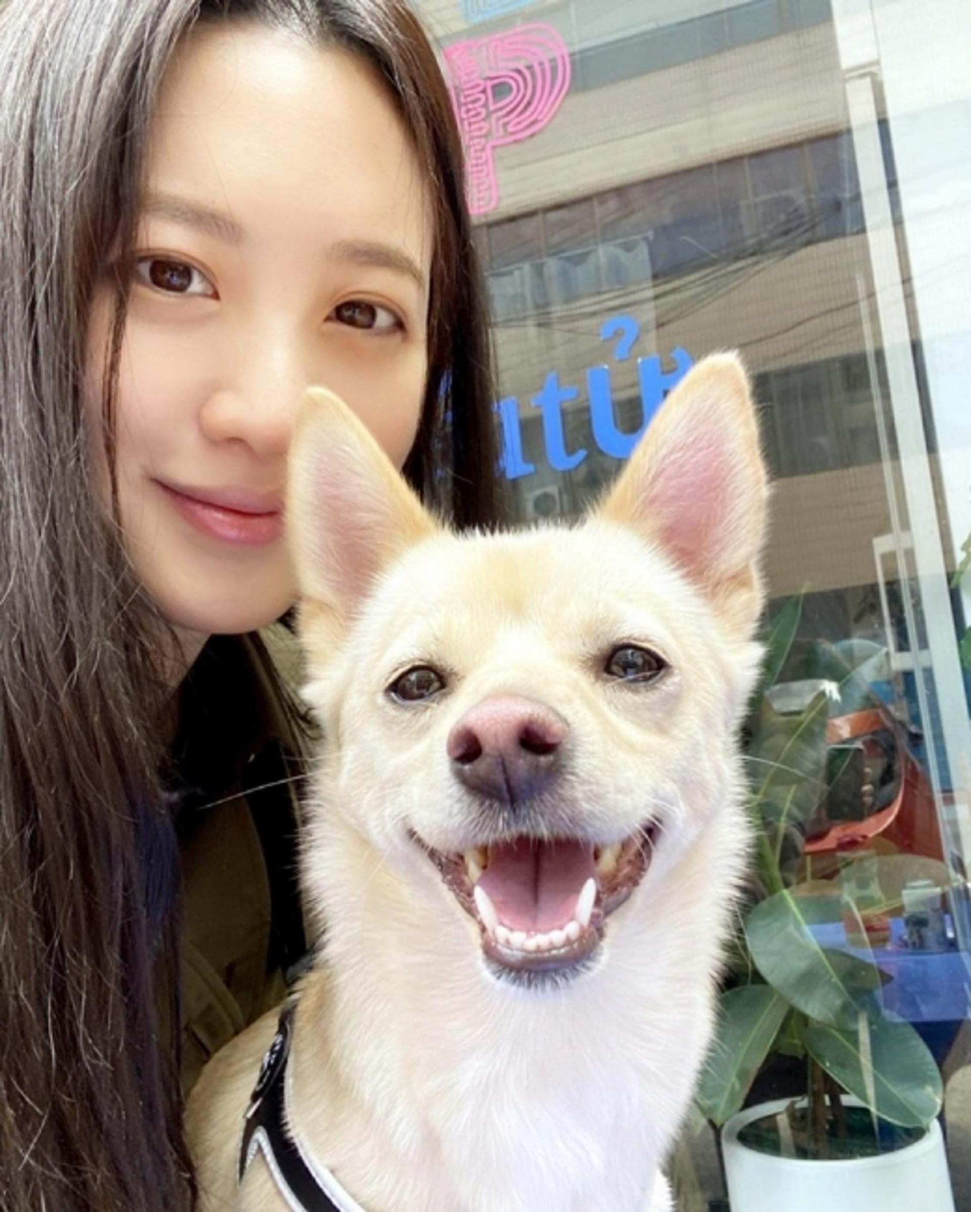 배우 수현, 임신 발표 후 반려견과 일상공개 “행복한 토요일”