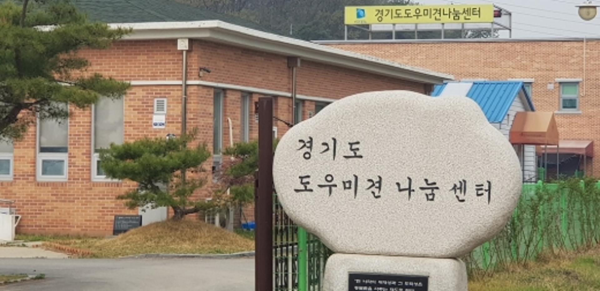 '코로나 블루' 극복에 반려견 입양 '주목'