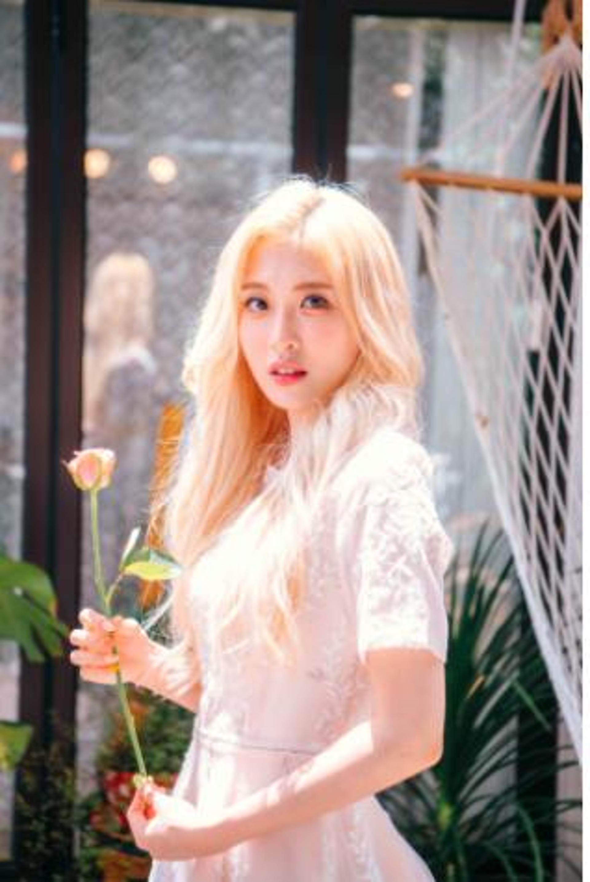 유튜버 '양팡', 부산시 홍보대사 위촉