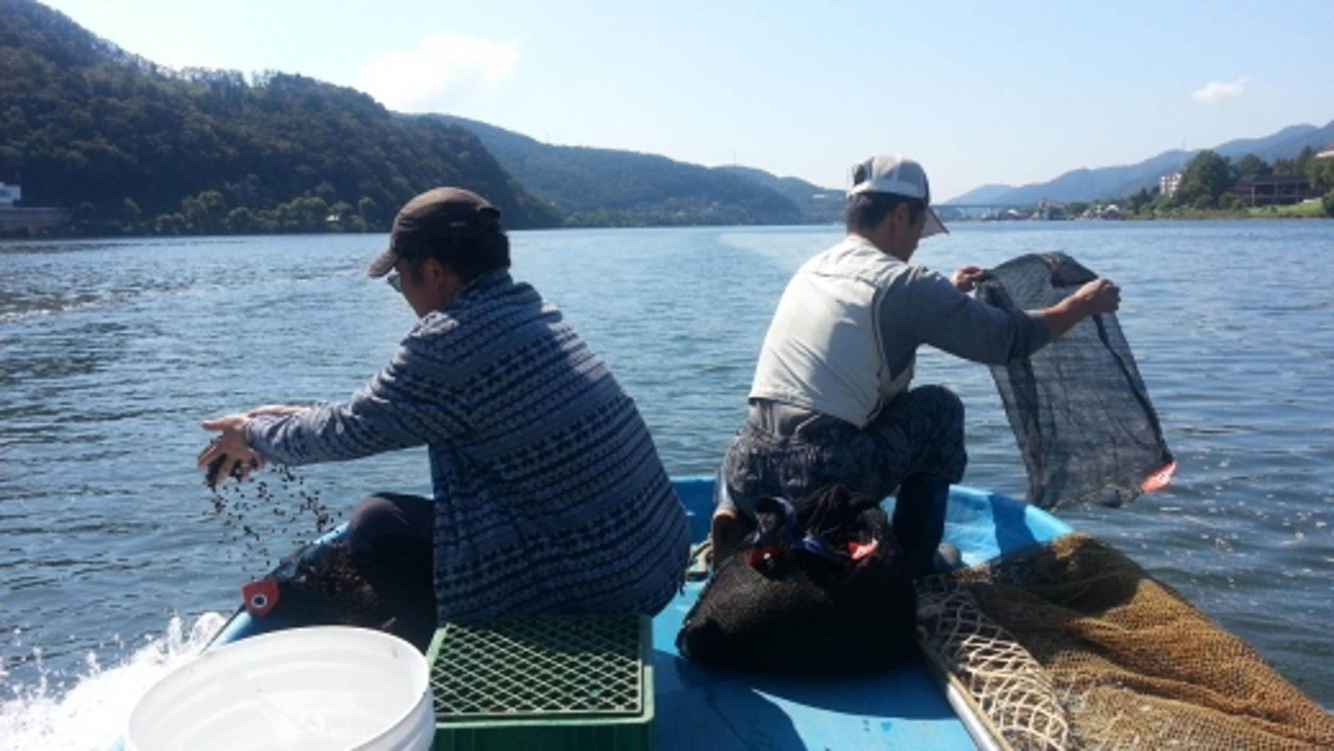 경기도, 올해 어업생산량 4000톤 목표…86억 투입