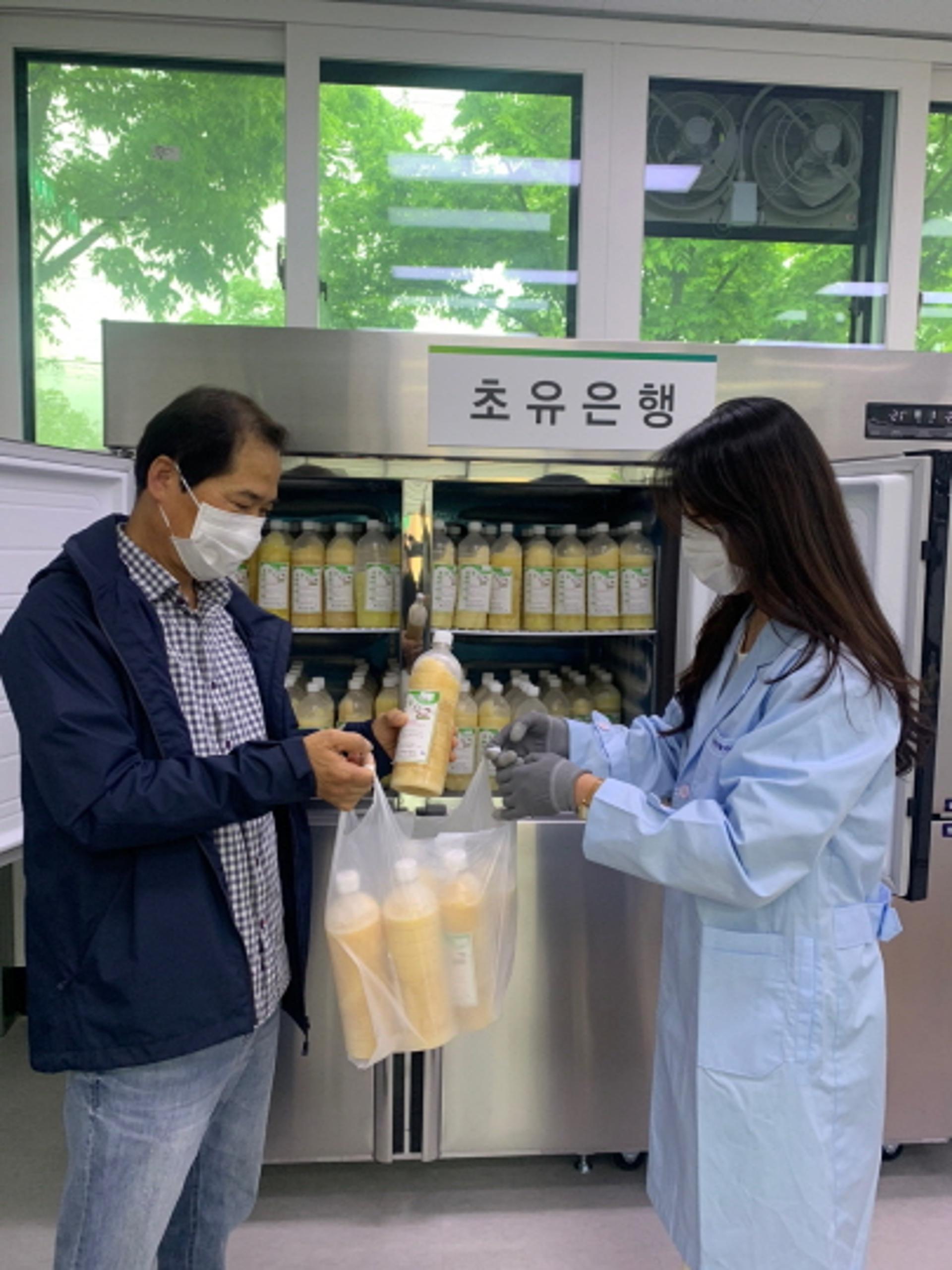 연천군, 한우송아지 초유은행 운영