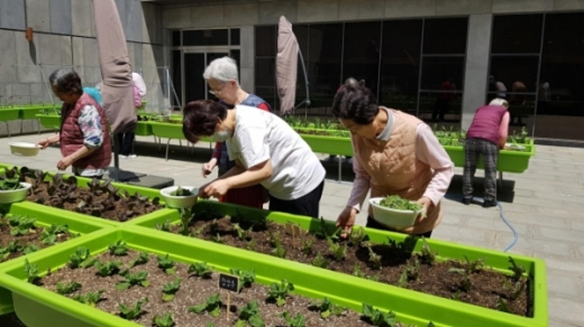 고양시, 요양원에 ‘치유형 옥상텃밭’ 조성…심리적 안정감↑