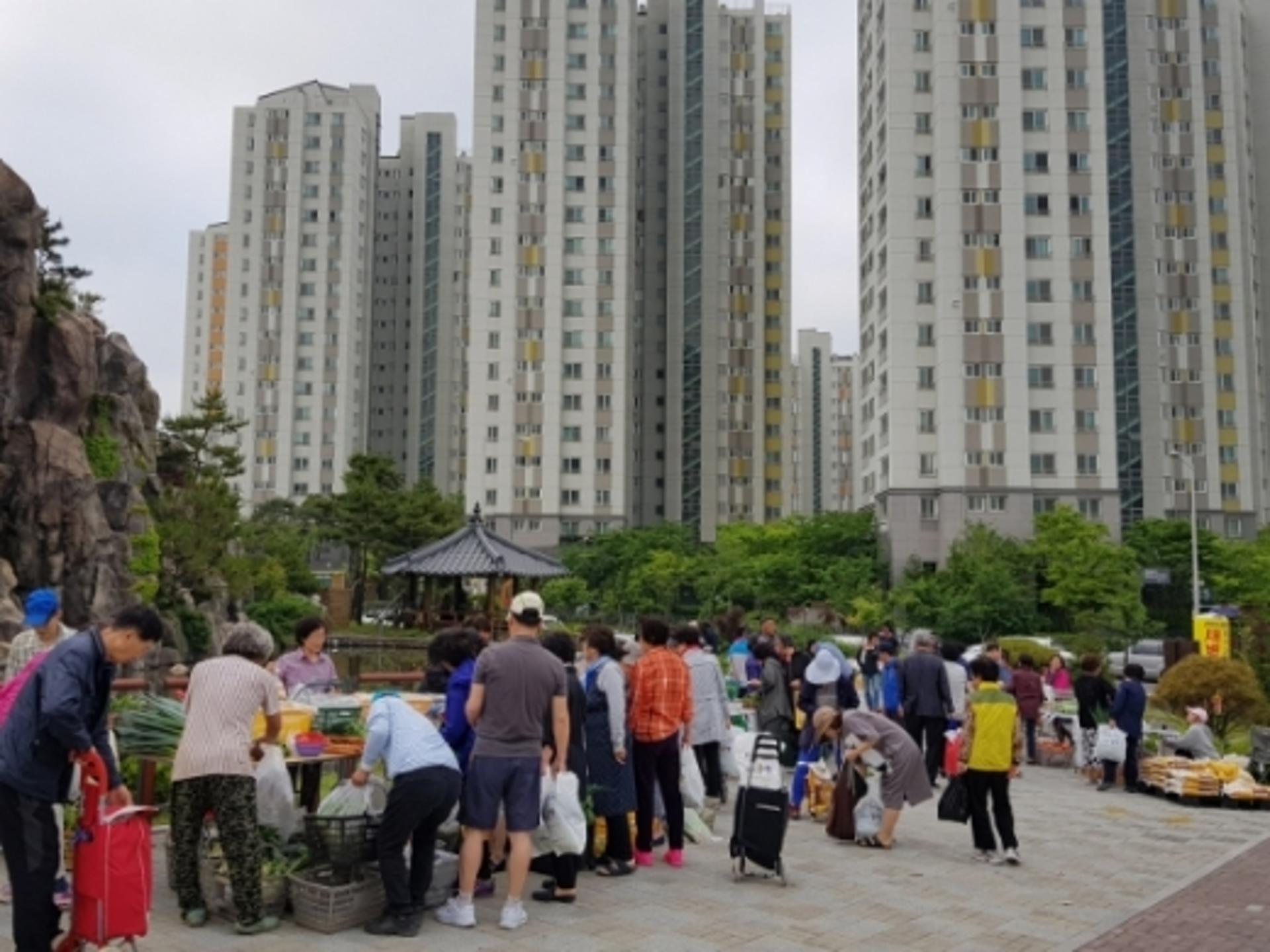 김포시, 김포농업인 새벽시장 개장