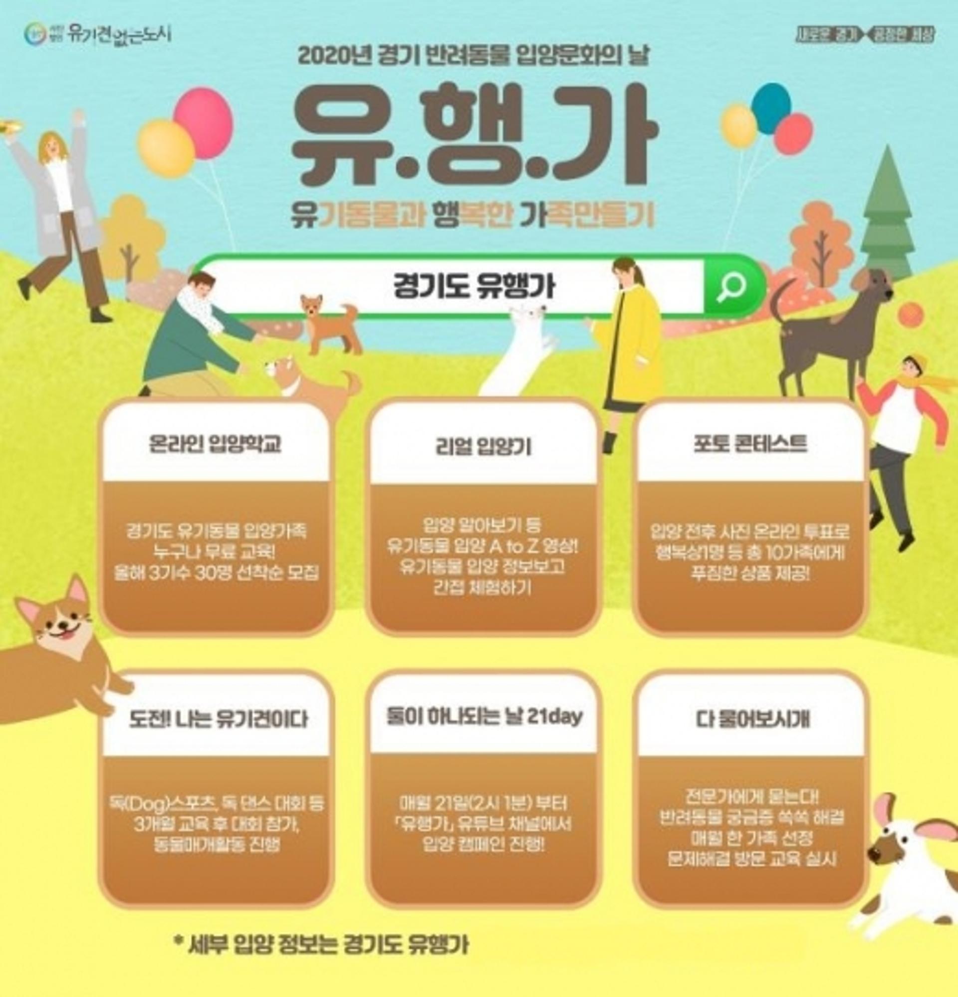 경기도, 유기동물 입양 온라인 플랫폼 '유행가' 운영