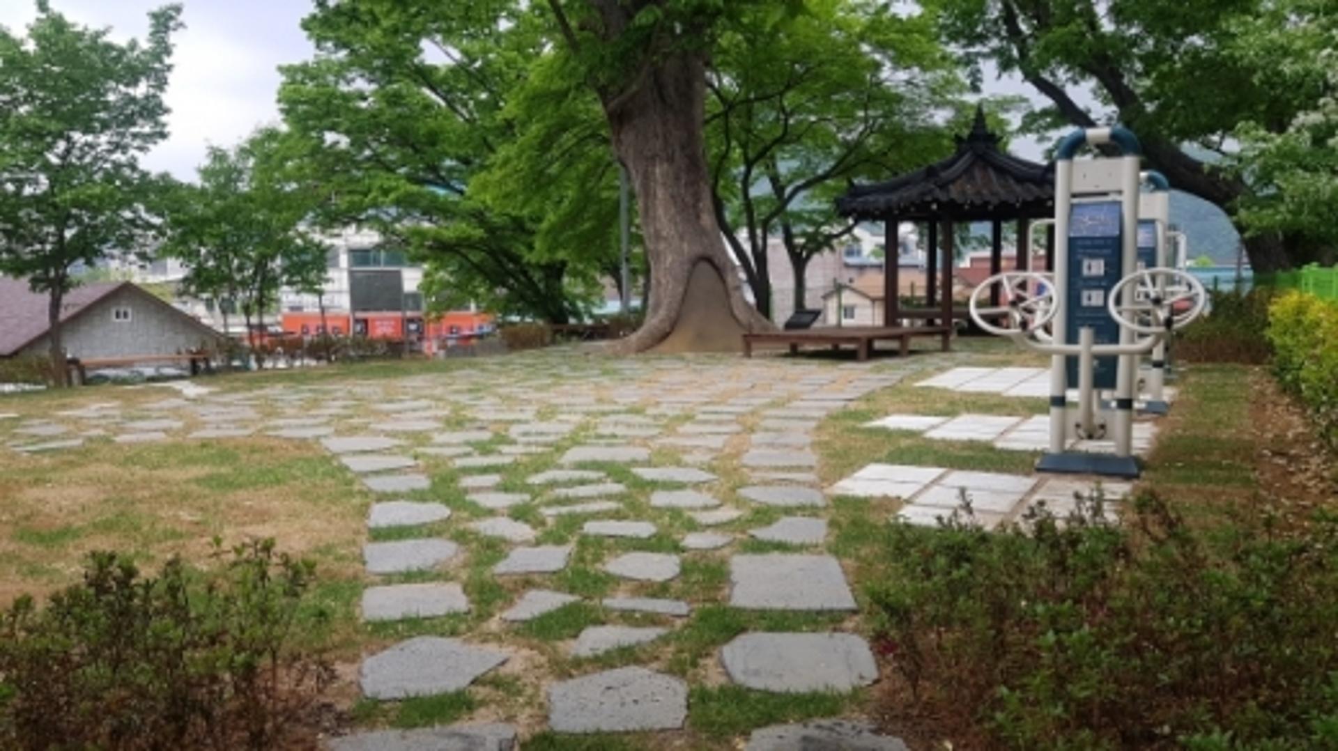 가평군, 군유지 활용 ‘녹색쌈지 숲’ 조성