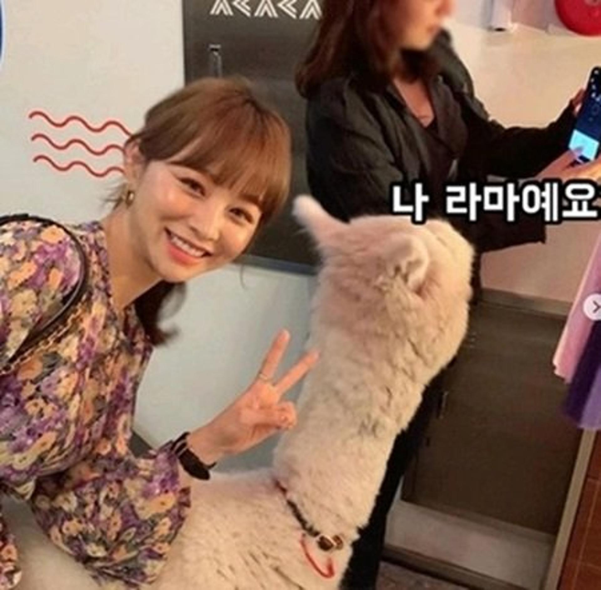 "알파카도 등장" 임블리 쏘리, 입장문 보니…