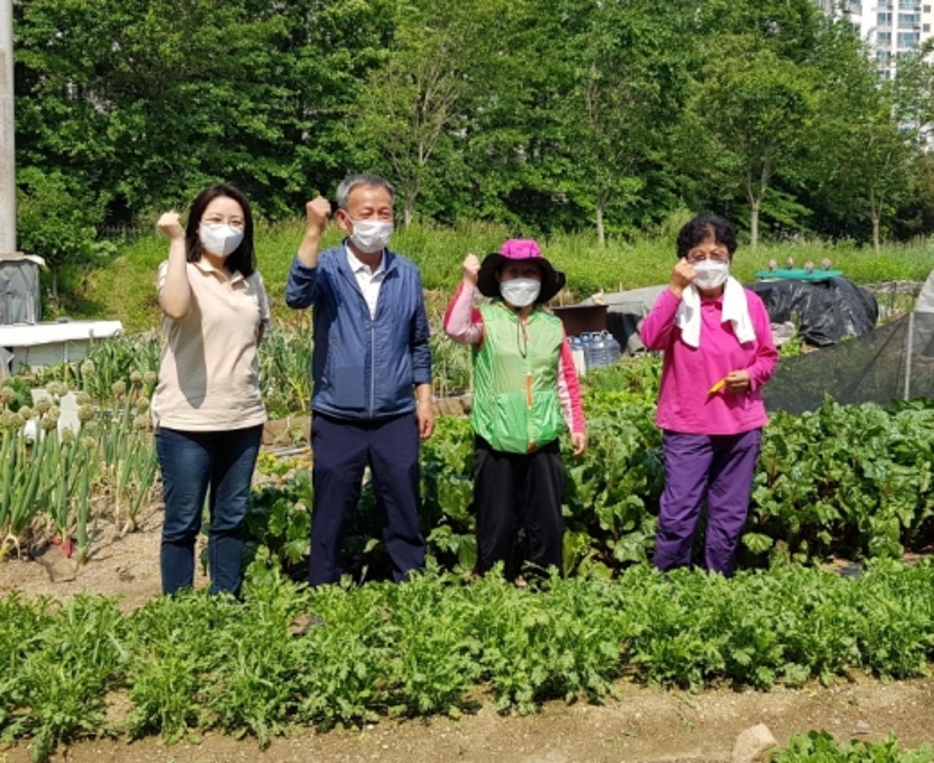 화성시, 행복나눔 텃밭가꾸기 취약계층 후원