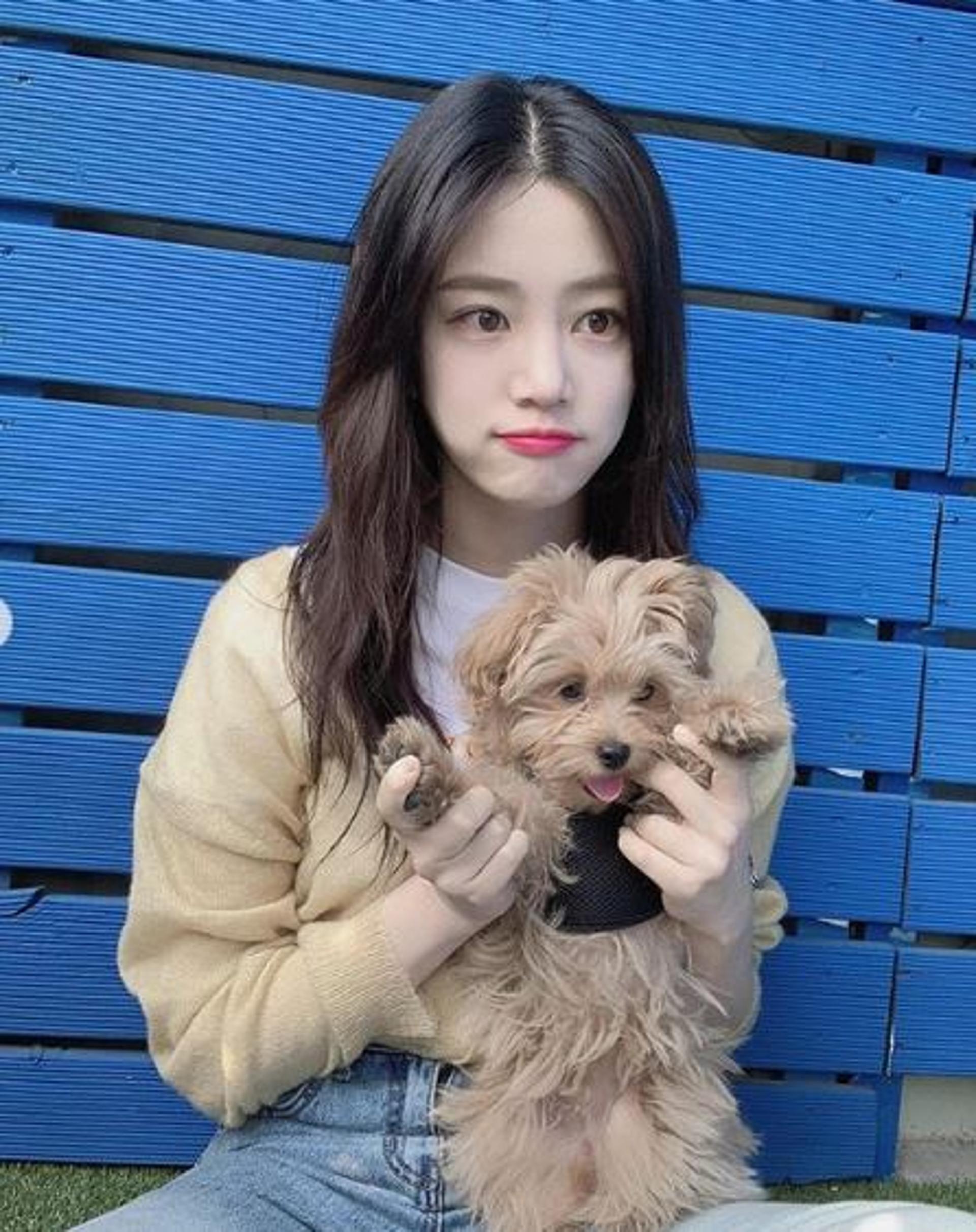 이유비 하차, "반려견이 주는 사랑 배웠다"