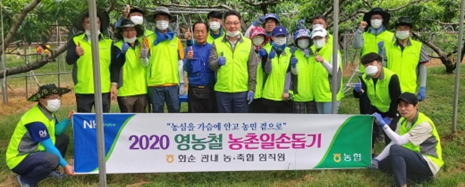 전남농협, 영농철 '농촌 일손돕기' 구슬땀