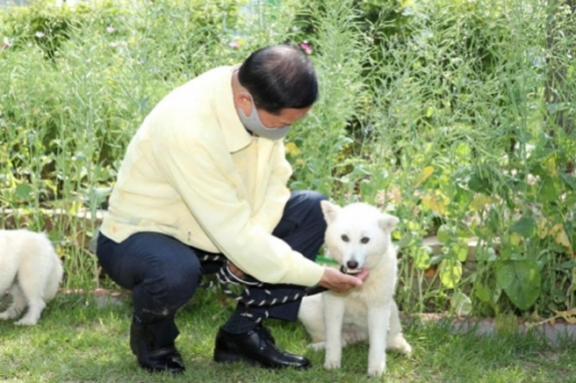 고양시, '민선7기 고양시 동물복지플랜 보고회' 개최