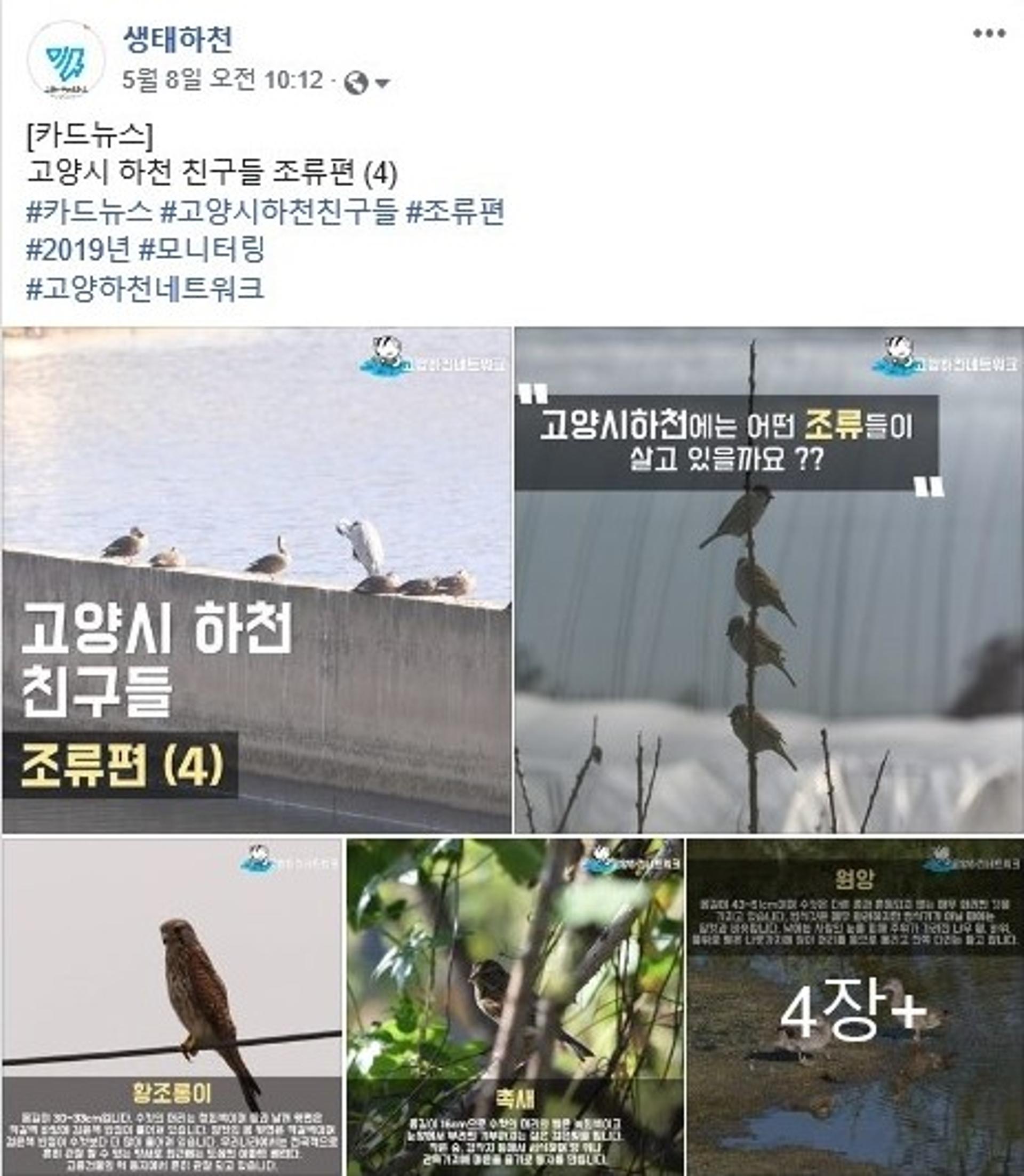 고양시 ‘생태하천 보전 활동’, 신중년 일자리사업으로 각광