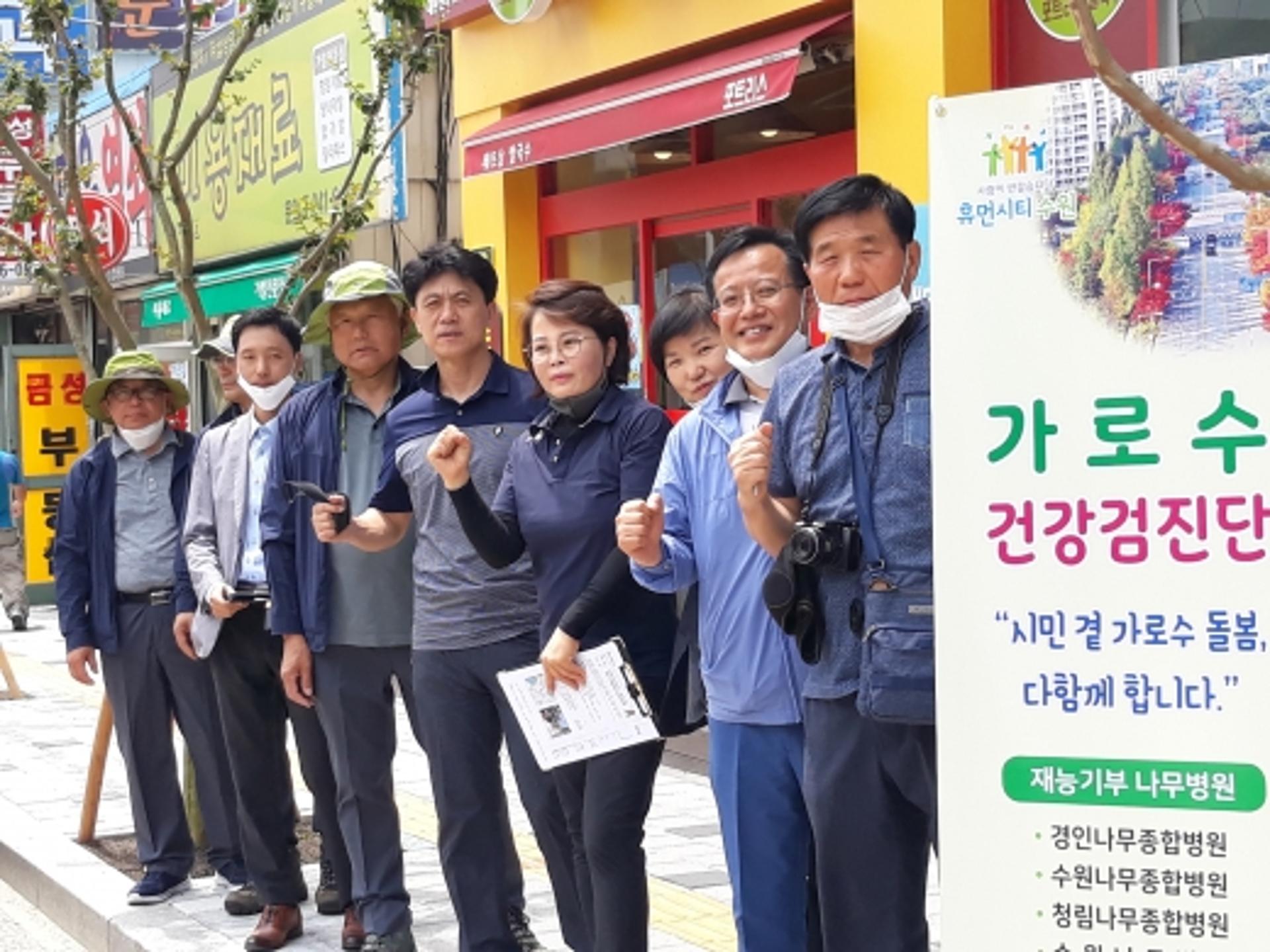 수원 배롱나무 가로수 잘 자라나… '가로수 건강검진단' 활약