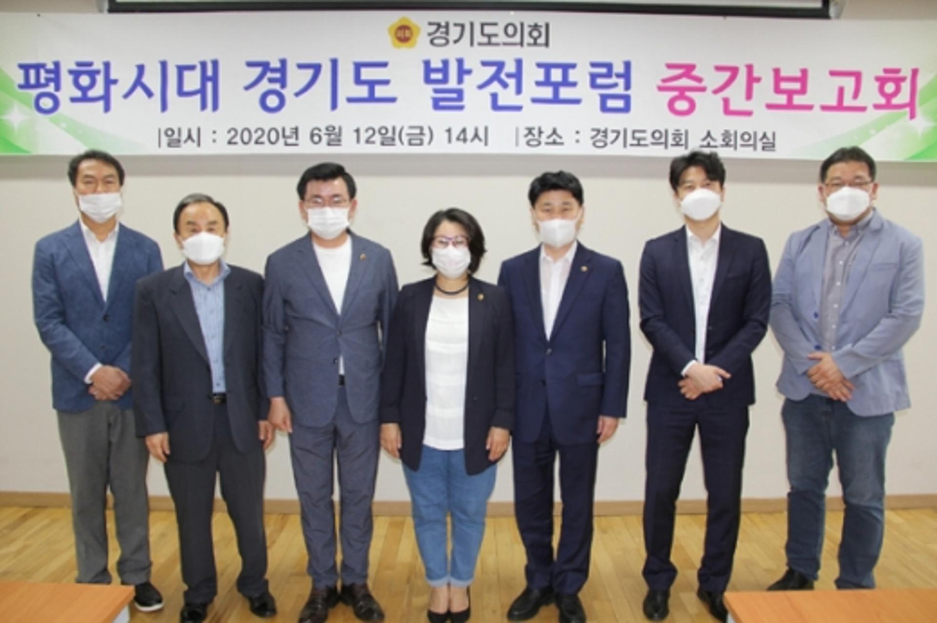 최경자 경기도의원 "경기특별자치도 무산은 정치적 논리 때문"