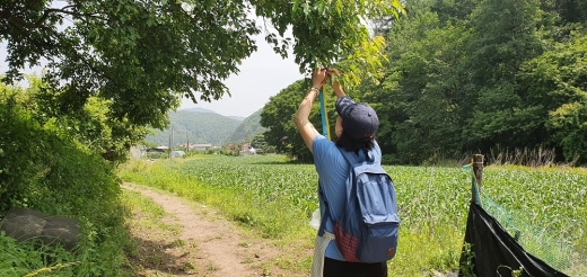 양평군 물소리길, '코로나19 힐링 코스' 인기