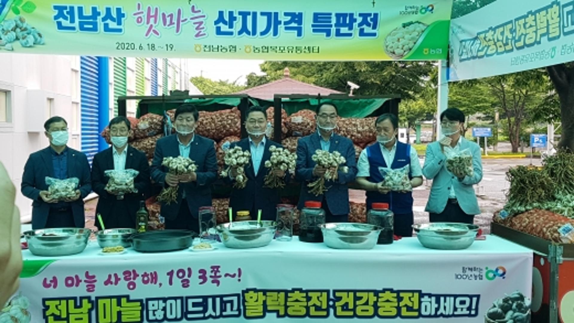 전남농협,'햇마늘' 소비 촉진 특판전… 최대 30% 할인