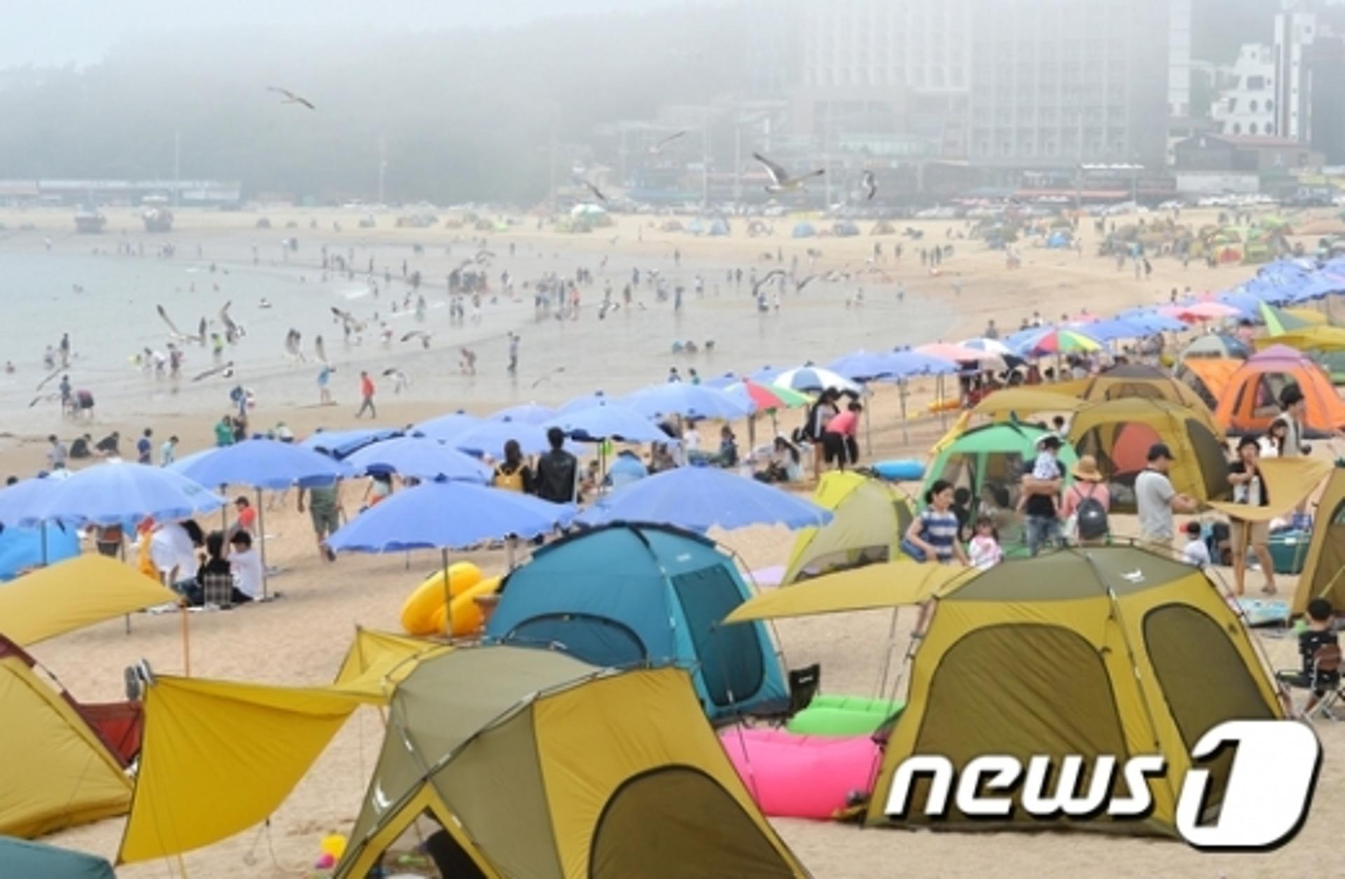 경기도, 해수욕장 불법 파라솔 일제단속